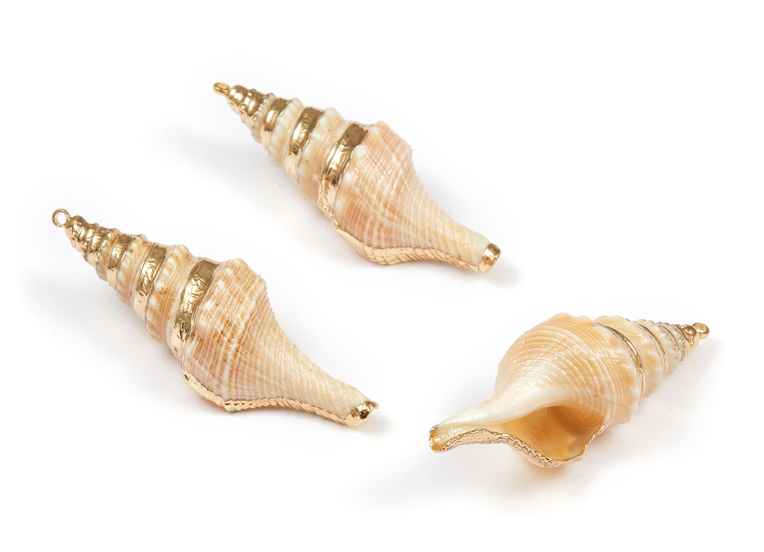 Whelk Seashell Charms - Whelk Shell Pendant - Natural Seashell Earrings - 1 Hole - 46.02x15.1x15.5mm - SF1068 - DOMEDBAZAAR