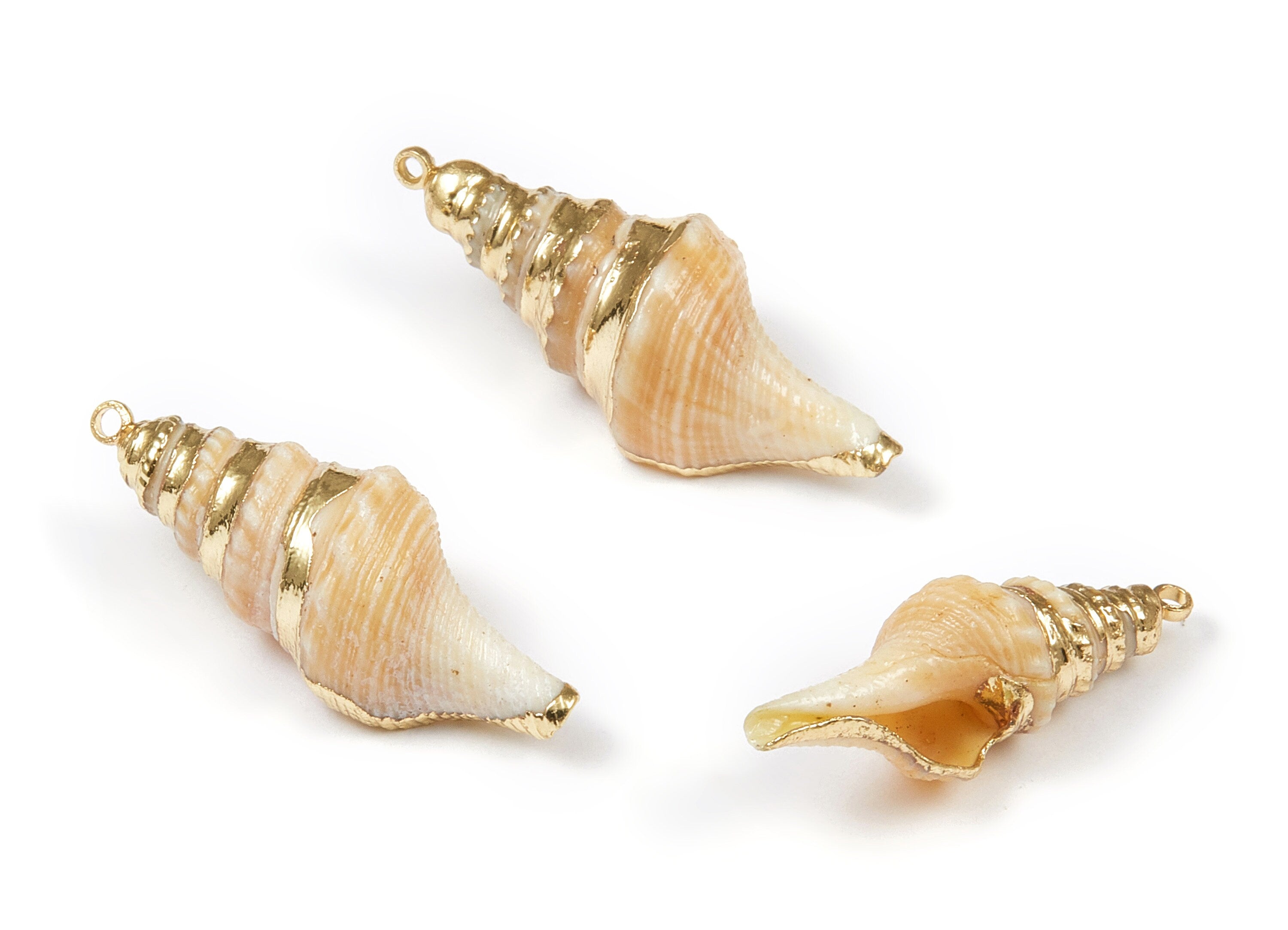 Whelk Seashell Charms - Whelk Shell Pendant - Natural Seashell Earrings - 1 Hole - 31.87x12.03x7.5mm - SF1069 - DOMEDBAZAAR