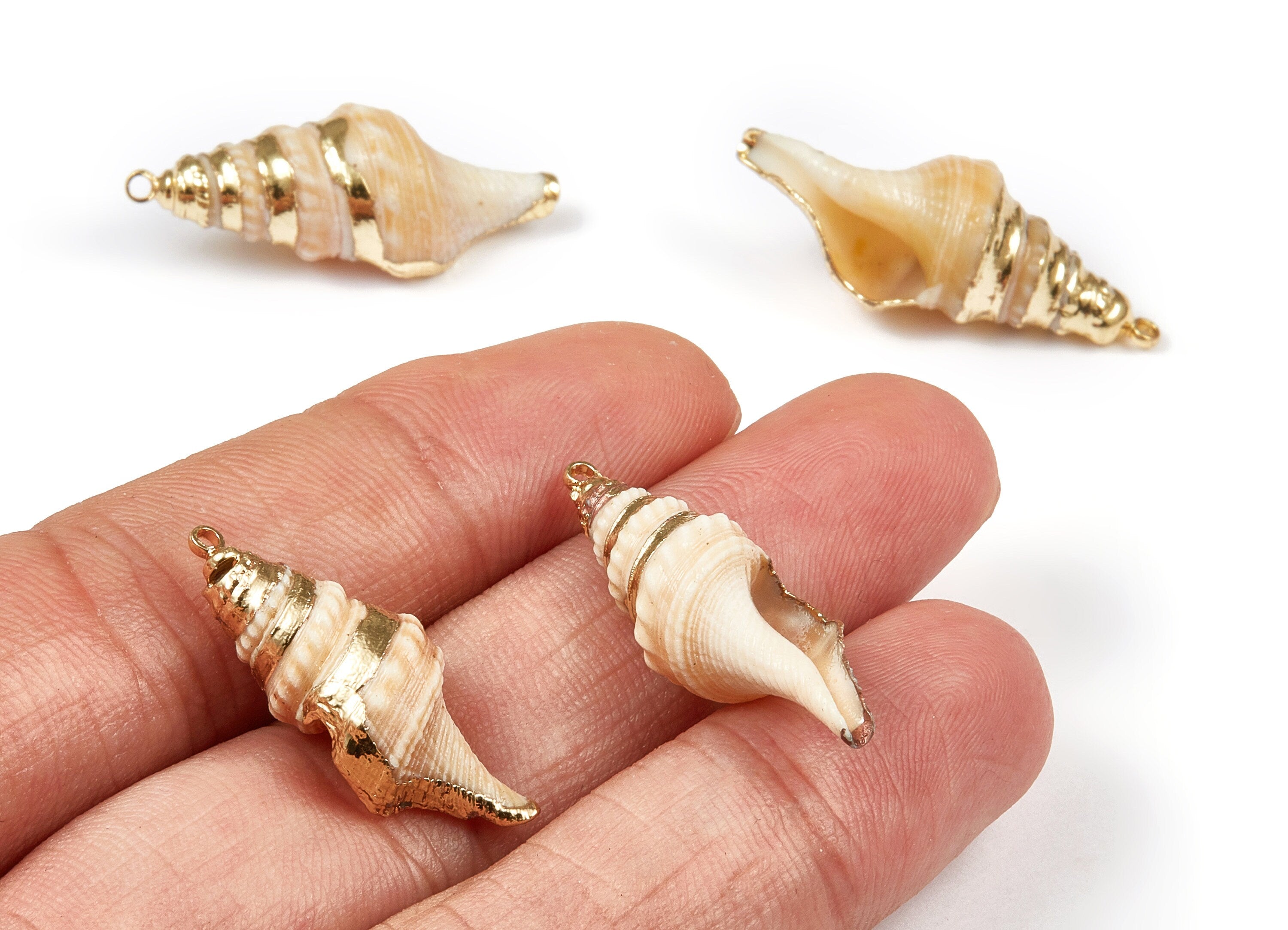 Whelk Seashell Charms - Whelk Shell Pendant - Natural Seashell Earrings - 1 Hole - 31.87x12.03x7.5mm - SF1069 - DOMEDBAZAAR