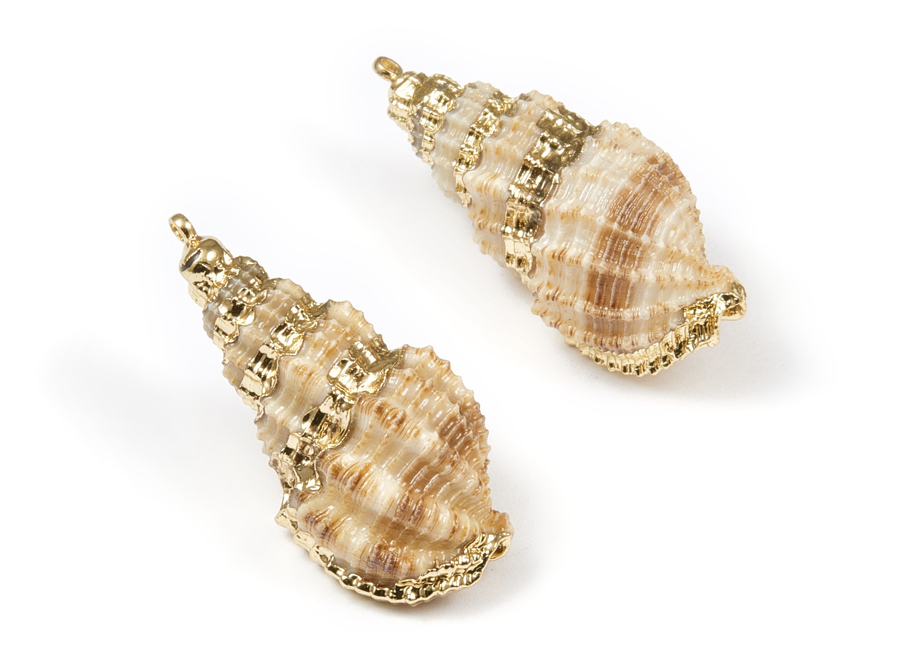 Whelk Seashell Charms - Whelk Shell Pendant - Natural Seashell Earrings - 1 Hole - 35.43x14.59x13.1mm - SF1070 - DOMEDBAZAAR