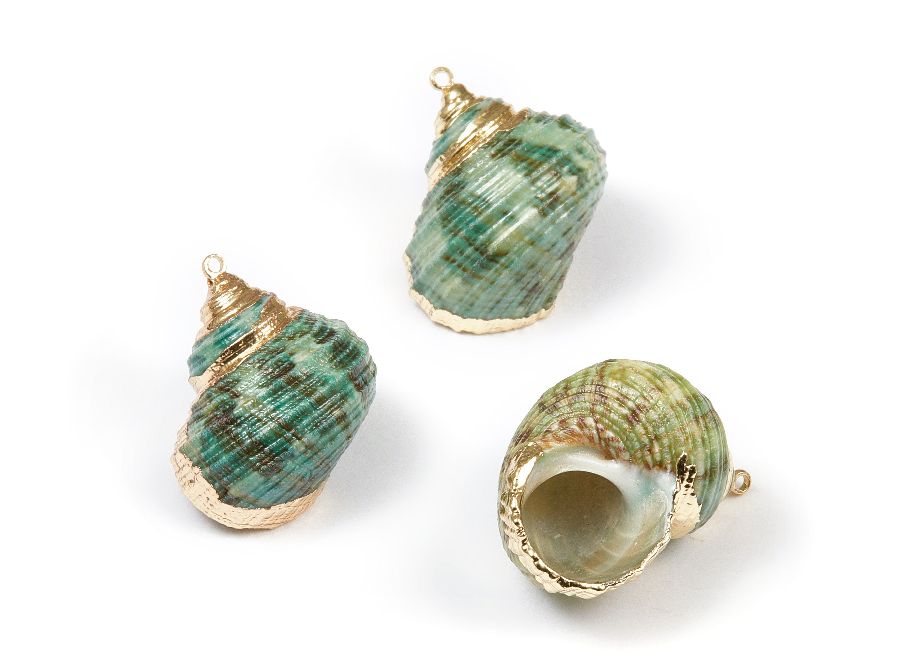 Whelk Seashell Charms - Whelk Shell Pendant - Natural Seashell Earrings - 1 Hole - 27.6x21.72x14.4mm - SF1073 - DOMEDBAZAAR