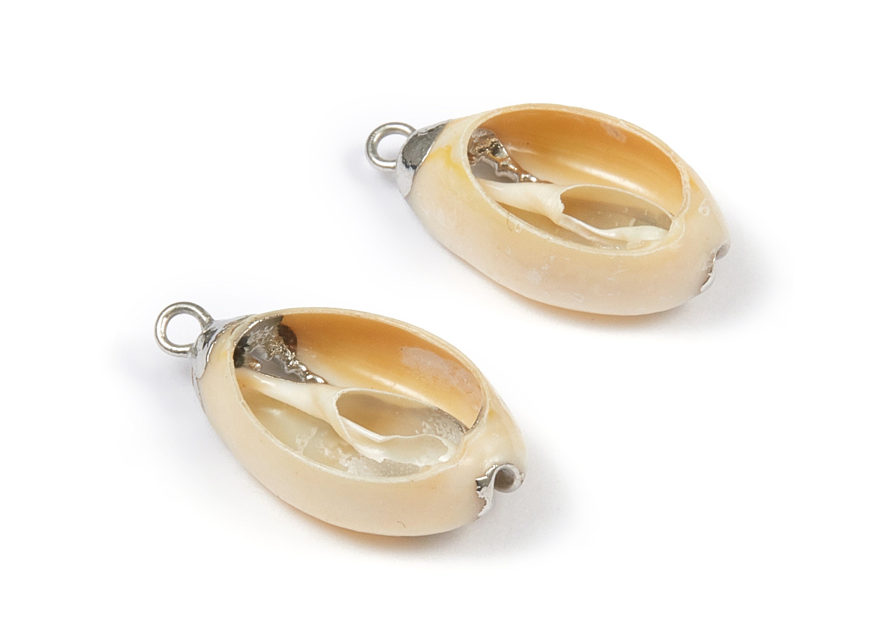 Open Cowrie Charms - Cut Open Cowrie Seashell Earrings and Pendant - Natural Seashell Earrings - 1 Holes - 23.74x13.34x6.55mm - SF1055 - DOMEDBAZAAR