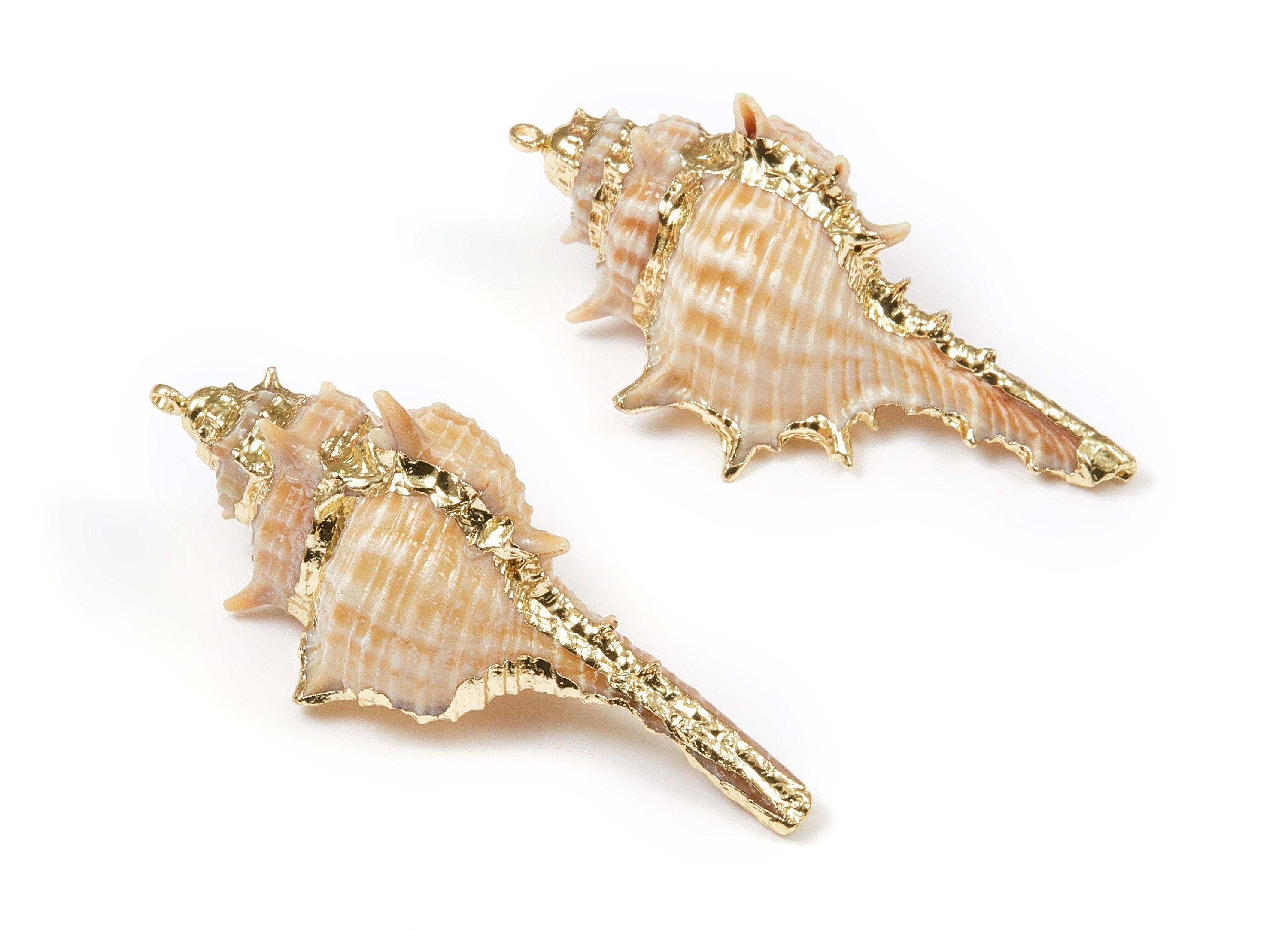 Cone Shell Charms - Whelk Seashell Pendant - Gold Tone Plated Earrings - Natural Seashell - 1 Hole - 55.18x21.89 - SF1090 - DOMEDBAZAAR