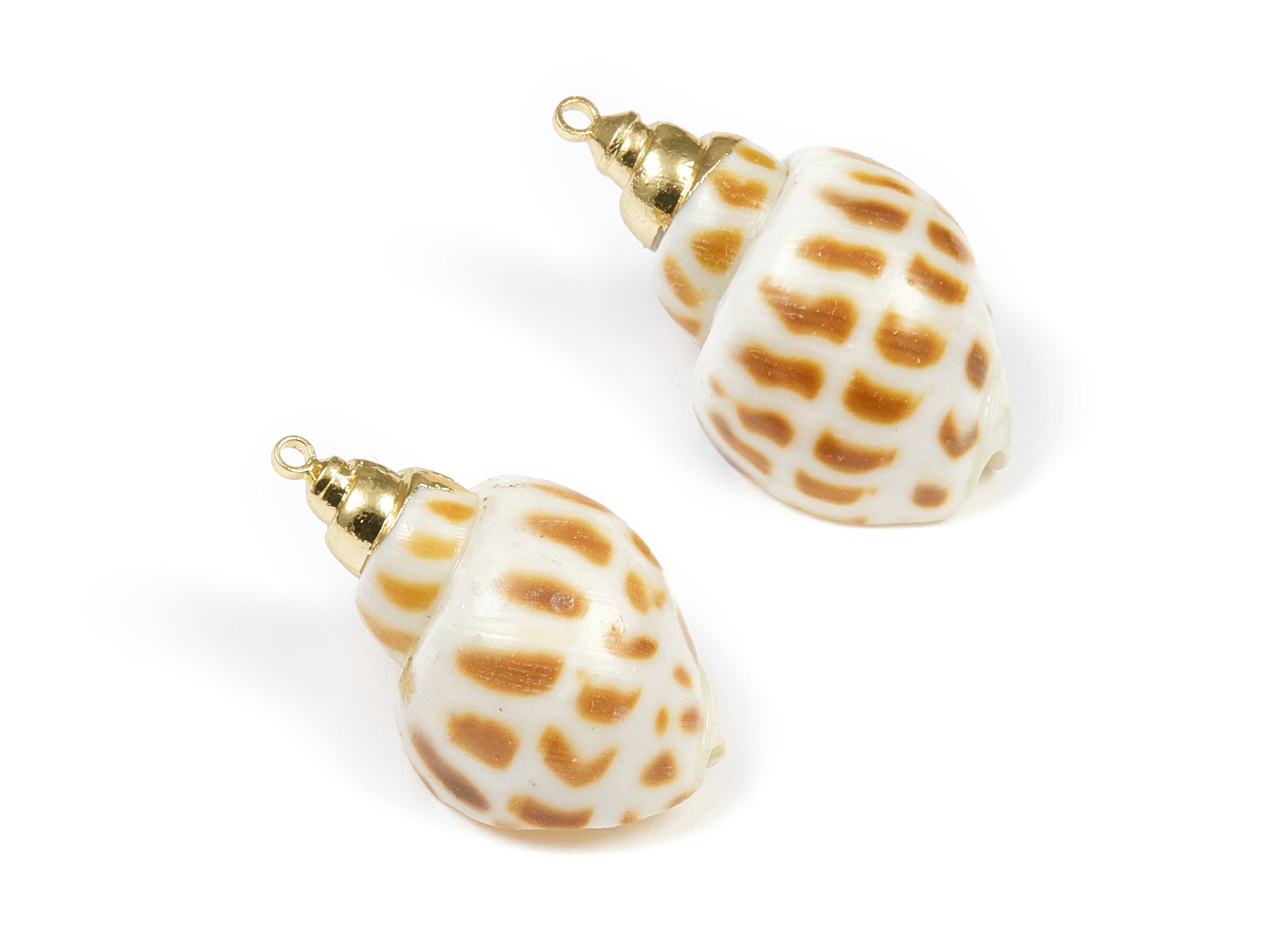 Whelk Seashell Charms - Whelk Shell Pendant - Natural Seashell Earrings - 1 Hole - 30.07x17.67x11.9mm - SF1059 - DOMEDBAZAAR
