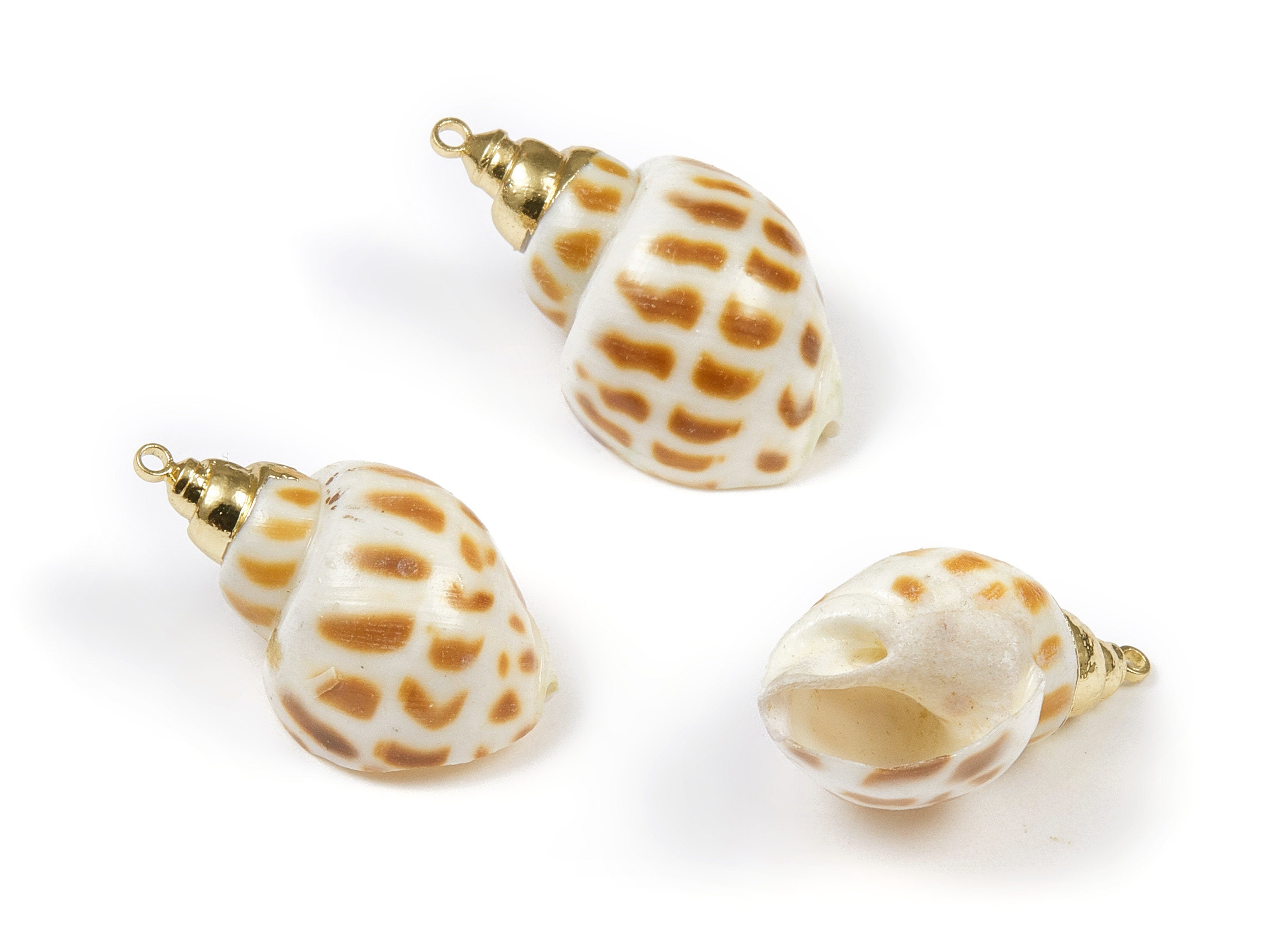 Whelk Seashell Charms - Whelk Shell Pendant - Natural Seashell Earrings - 1 Hole - 30.07x17.67x11.9mm - SF1059 - DOMEDBAZAAR