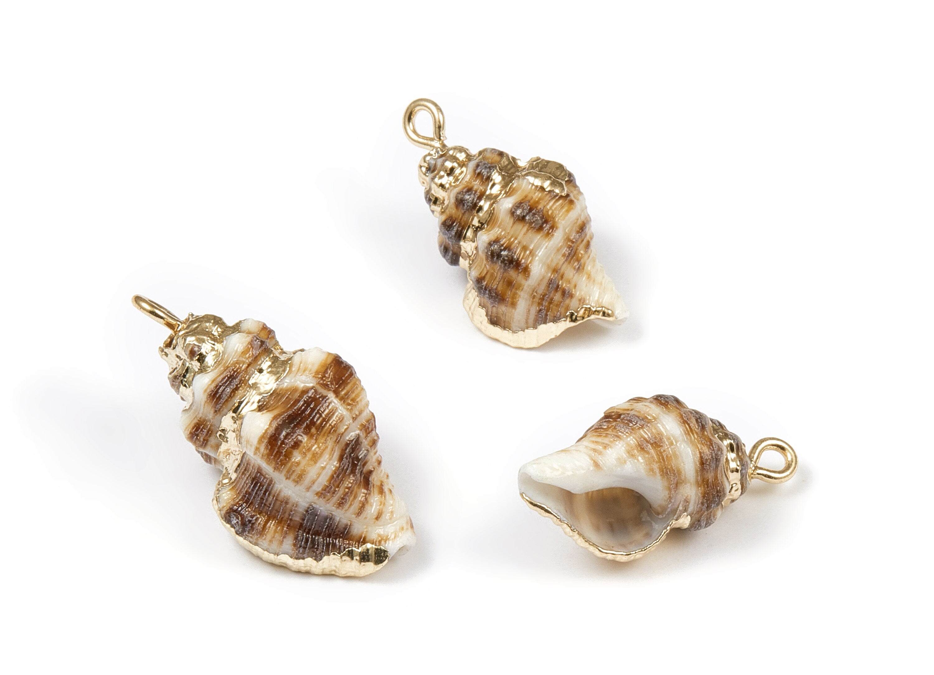 Whelk Seashell Charms - Natural Seashell Earrings and Pendant - Gold Tone Plated Earrings - 1 Hole - 24.22x14.75x11.4mm - SF1037 - DOMEDBAZAAR
