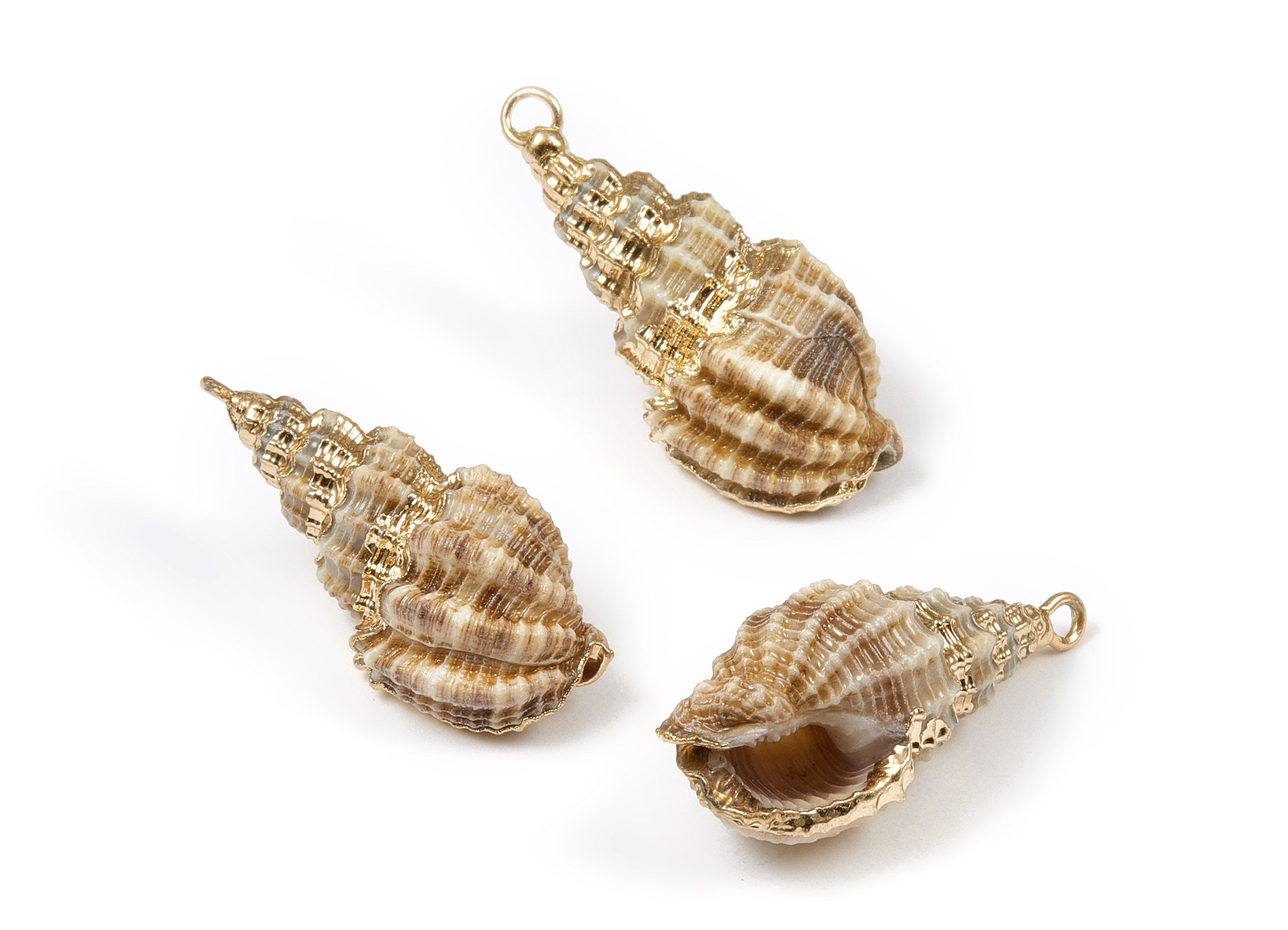 Whelk Seashell Charms - Natural Seashell Earrings and Pendant - Gold Tone Plated Earrings - 1 Hole - 30.38x15.38x12.26mm - SF1043 - DOMEDBAZAAR