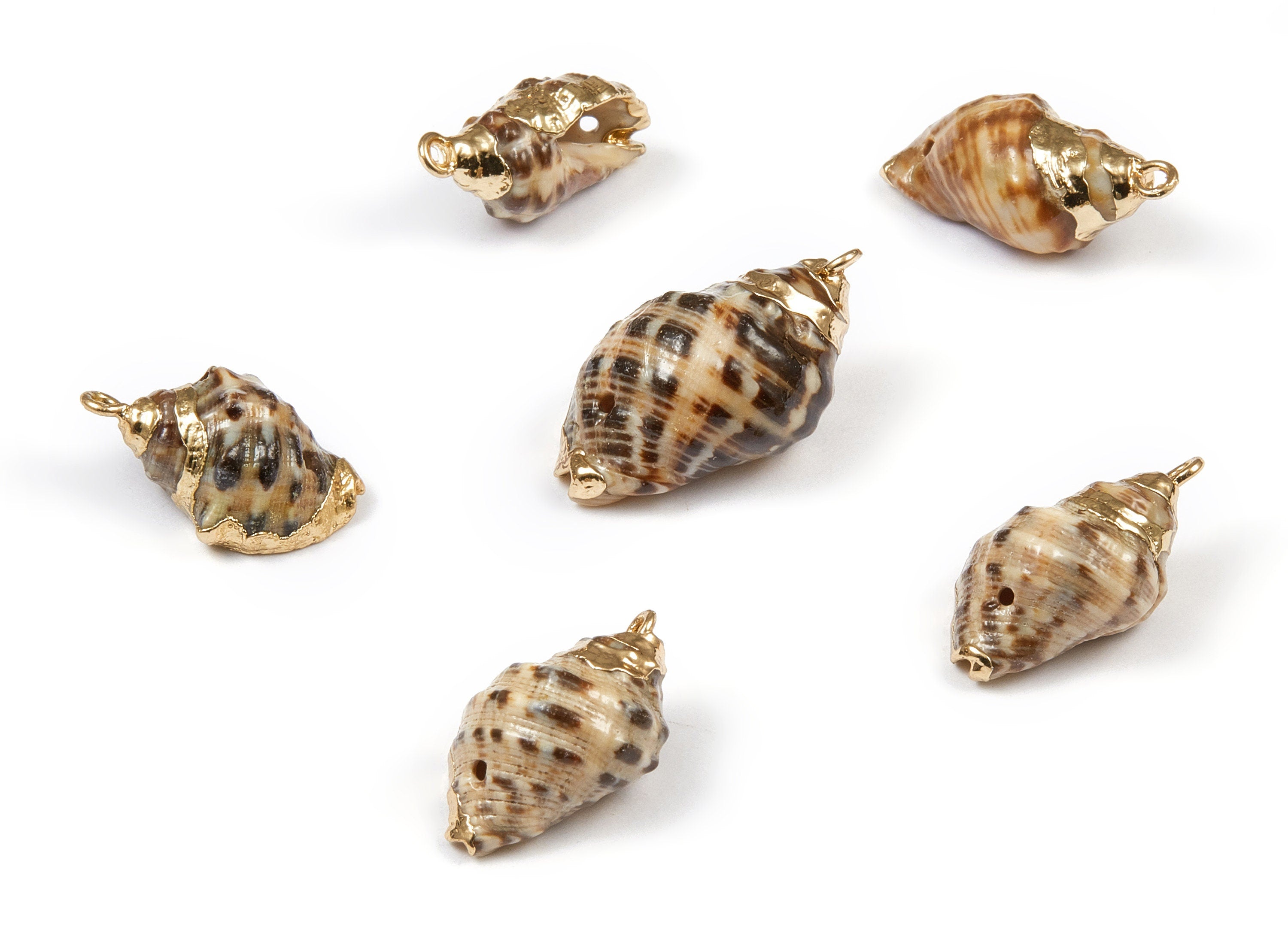 Whelk Seashell Charms - Natural Seashell Earrings and Pendant - Gold Tone Plated Earrings - 1 Hole - 23.59x12.43x9.26mm - SF1034 - DOMEDBAZAAR