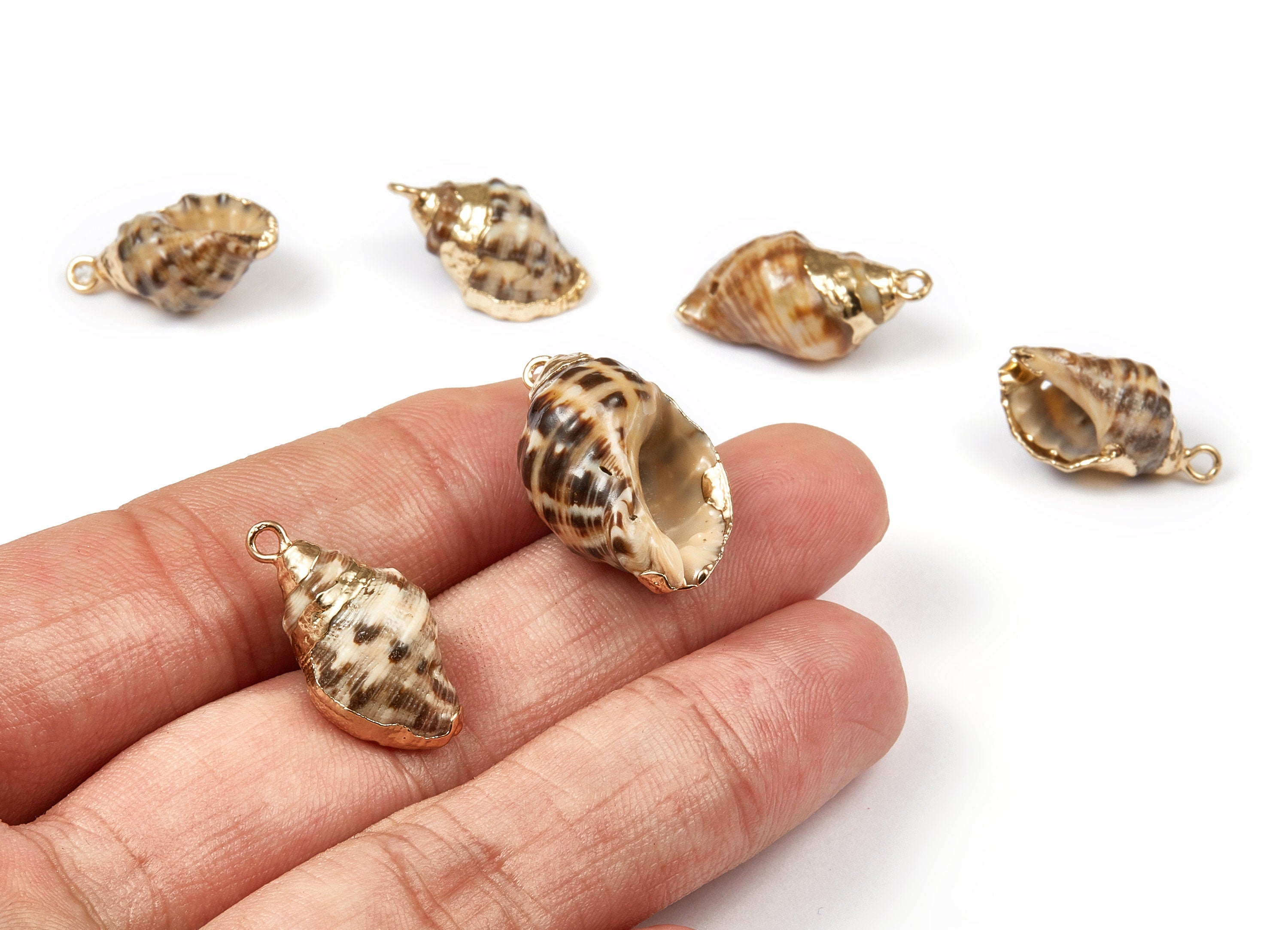 Whelk Seashell Charms - Natural Seashell Earrings and Pendant - Gold Tone Plated Earrings - 1 Hole - 23.59x12.43x9.26mm - SF1034 - DOMEDBAZAAR