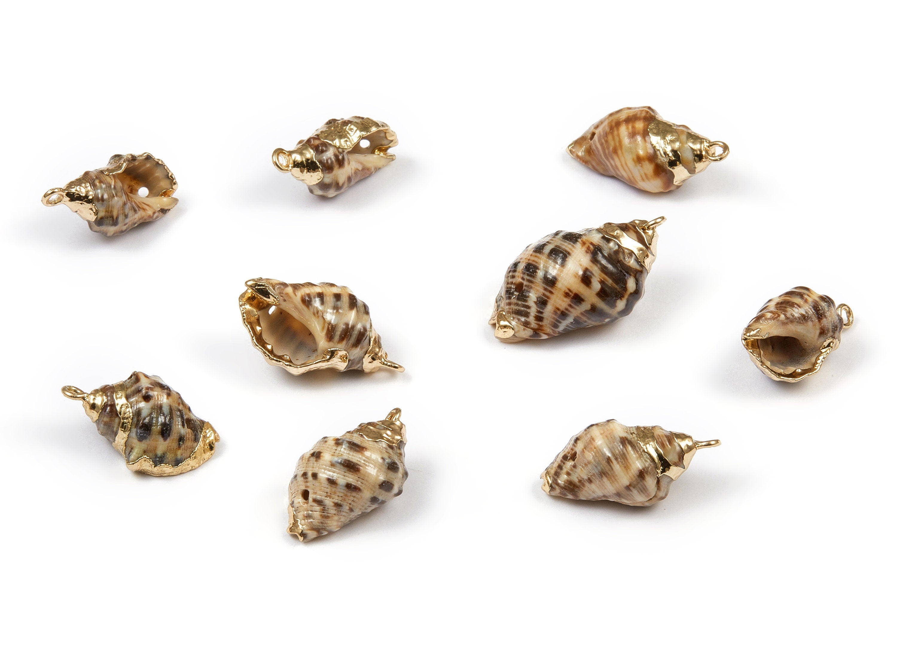 Whelk Seashell Charms - Natural Seashell Earrings and Pendant - Gold Tone Plated Earrings - 1 Hole - 23.59x12.43x9.26mm - SF1034 - DOMEDBAZAAR