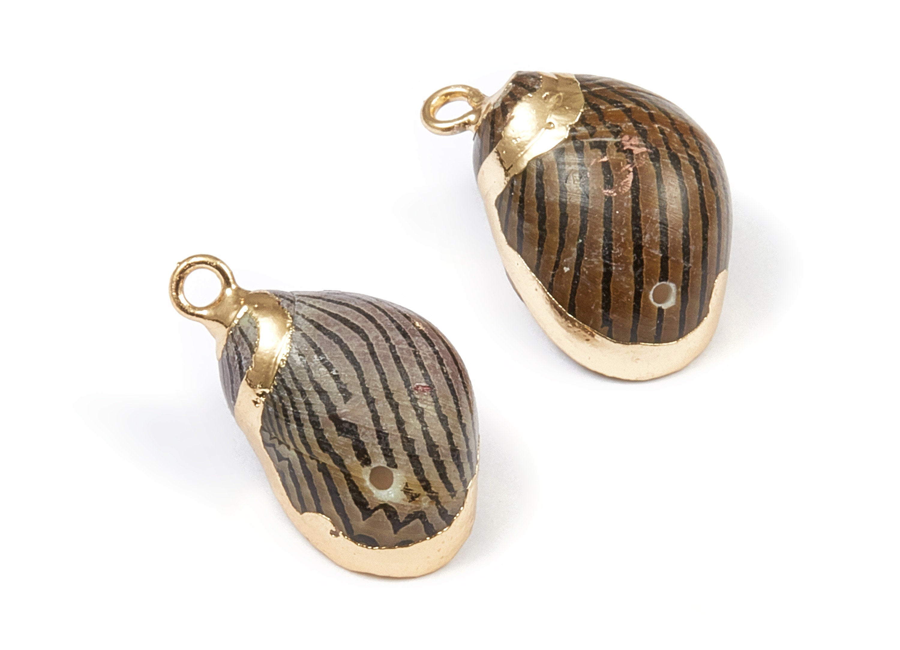 Whelk Seashell Charms - Natural Seashell Earrings and Pendant - Gold Tone Plated Earrings - 2 Hole - 13.43x11.18x9.58mm - SF1029 - DOMEDBAZAAR