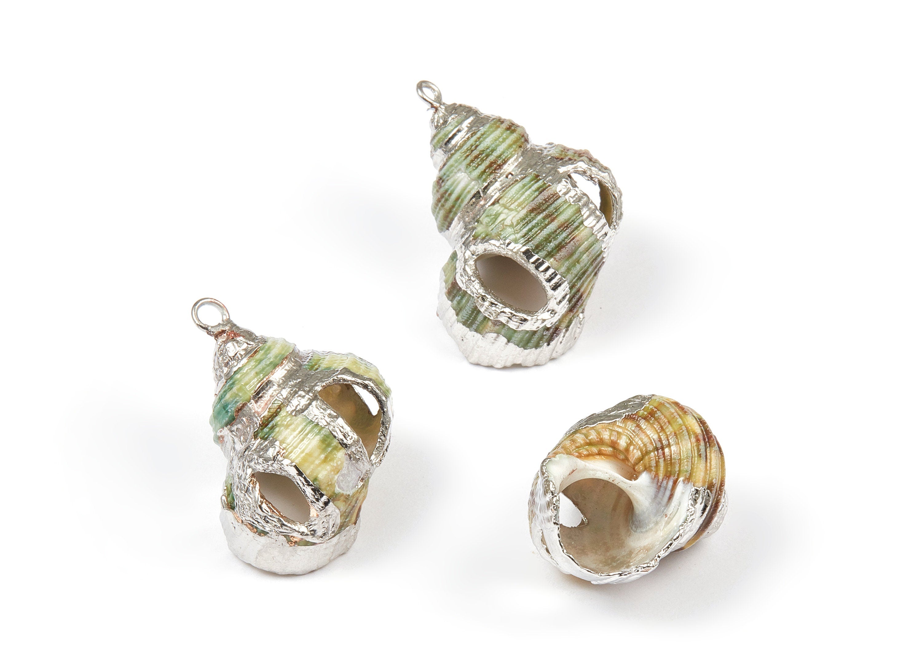 Open Whelk Charms - Whelk Seashell Earrings - Cut Open Seashell Pendant - Natural Seashell Earrings - 1 Hole - 30.26x20.72x12.45mm - SF1030 - DOMEDBAZAAR