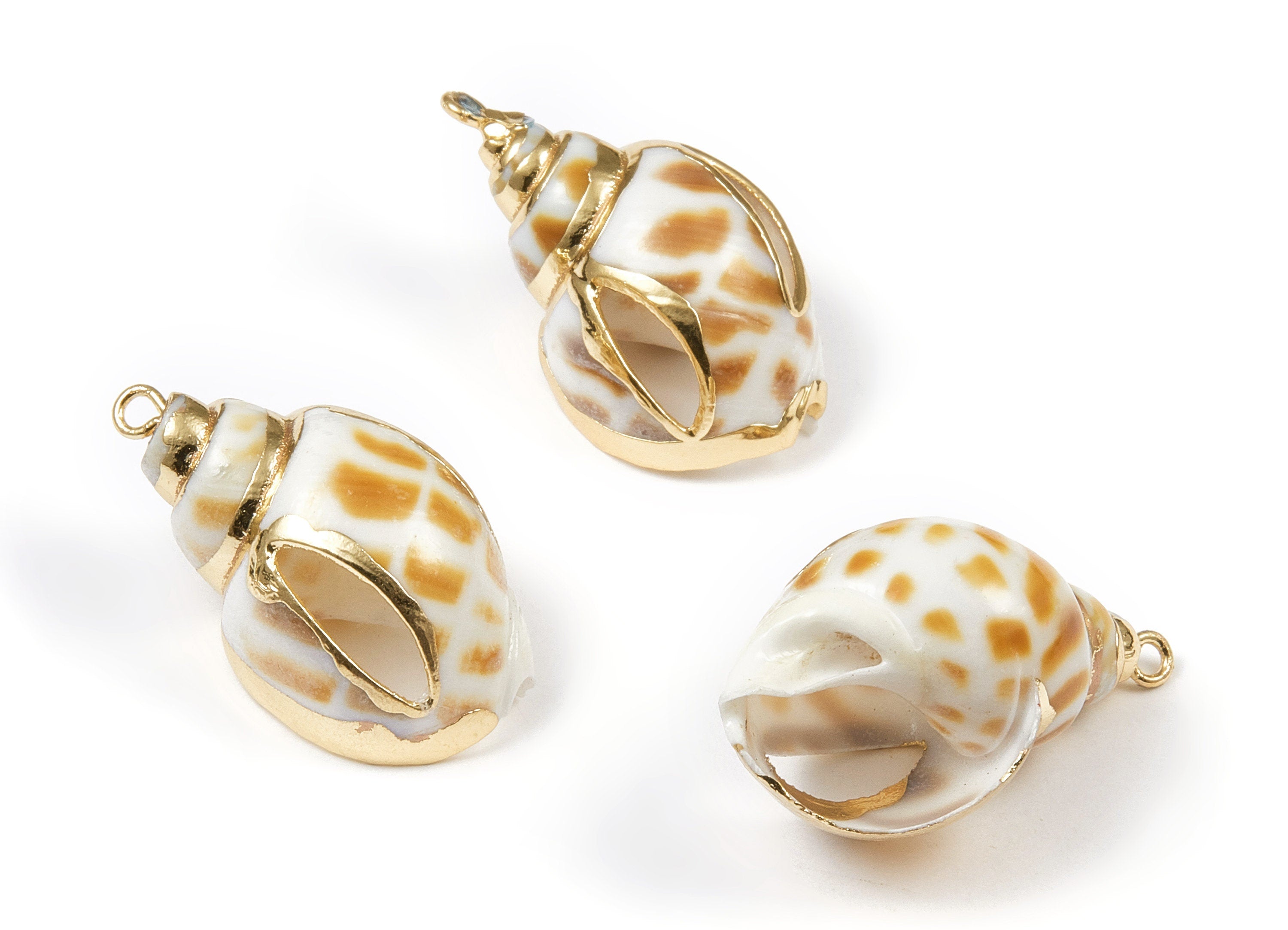 Open Whelk Charms - Whelk Seashell Earrings - Cut Open Seashell Pendant - Natural Seashell Earrings - 1 Hole - 30.9x18.67x14.88mm - SF1042 - DOMEDBAZAAR