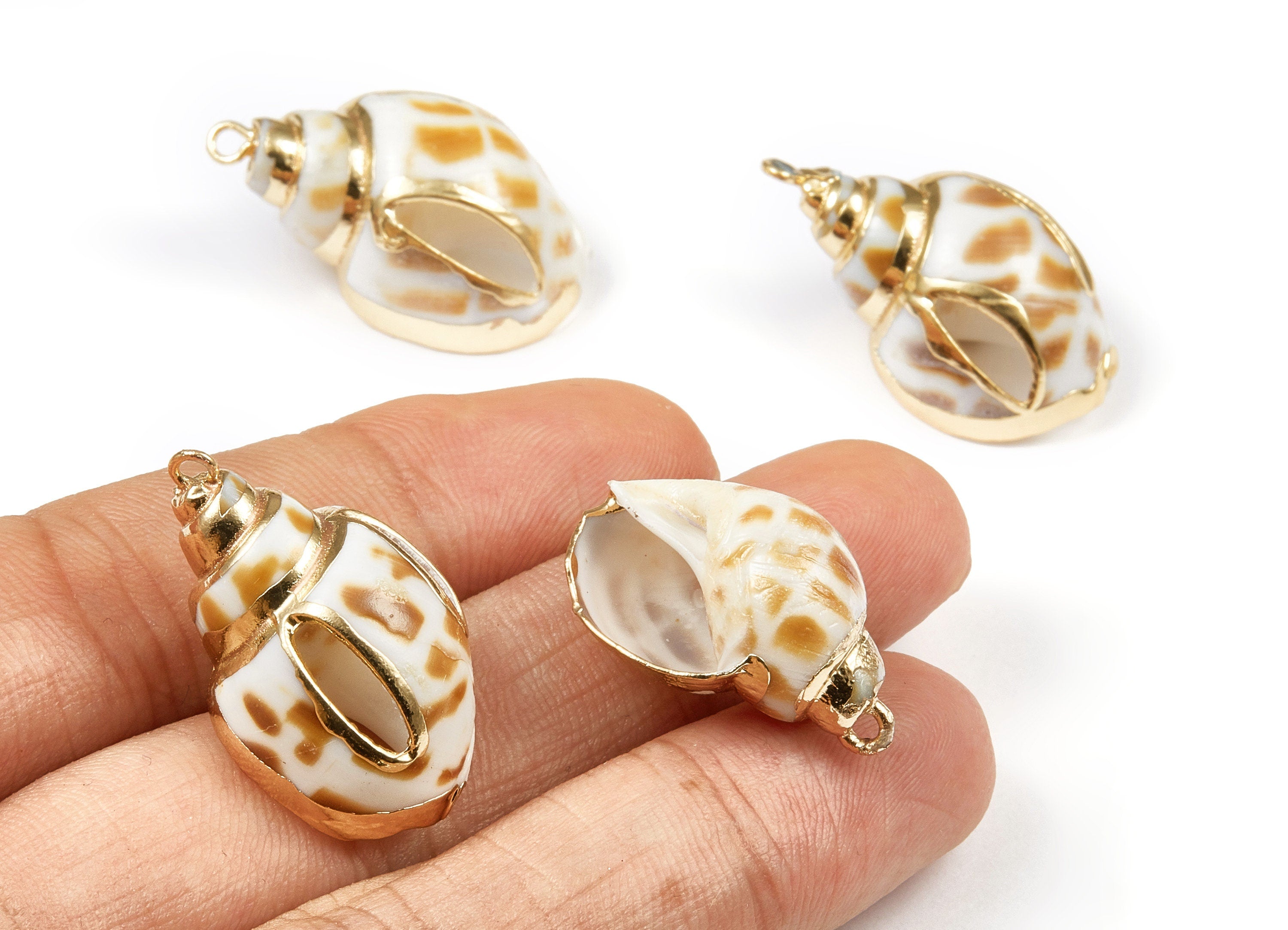 Open Whelk Charms - Whelk Seashell Earrings - Cut Open Seashell Pendant - Natural Seashell Earrings - 1 Hole - 30.9x18.67x14.88mm - SF1042 - DOMEDBAZAAR