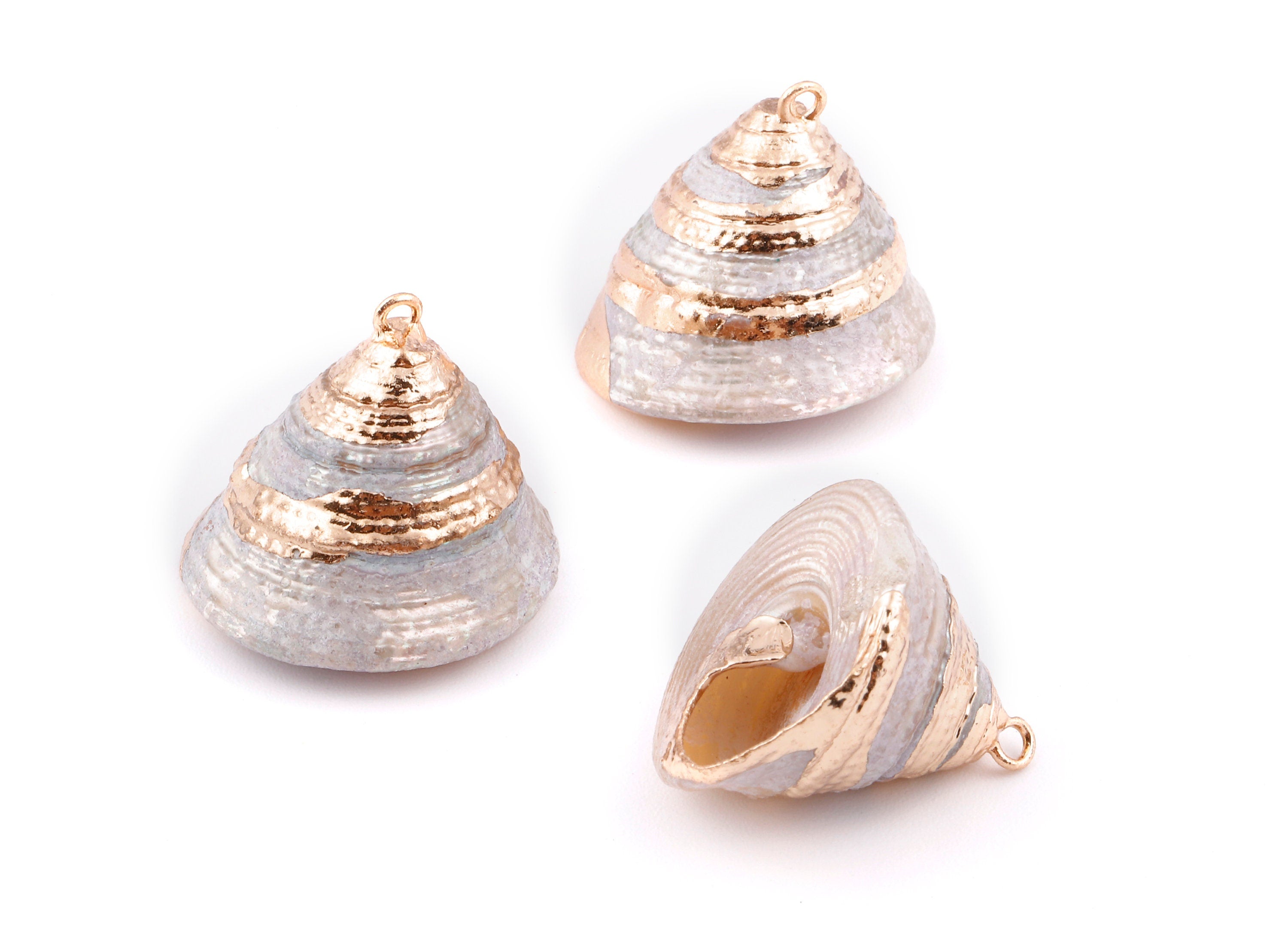 Cone Seashell Charms - Whelk Seashell Pendant - Natural Seashell Earrings - 1 Hole - 25.43x23.33mm - SF1128G - DOMEDBAZAAR