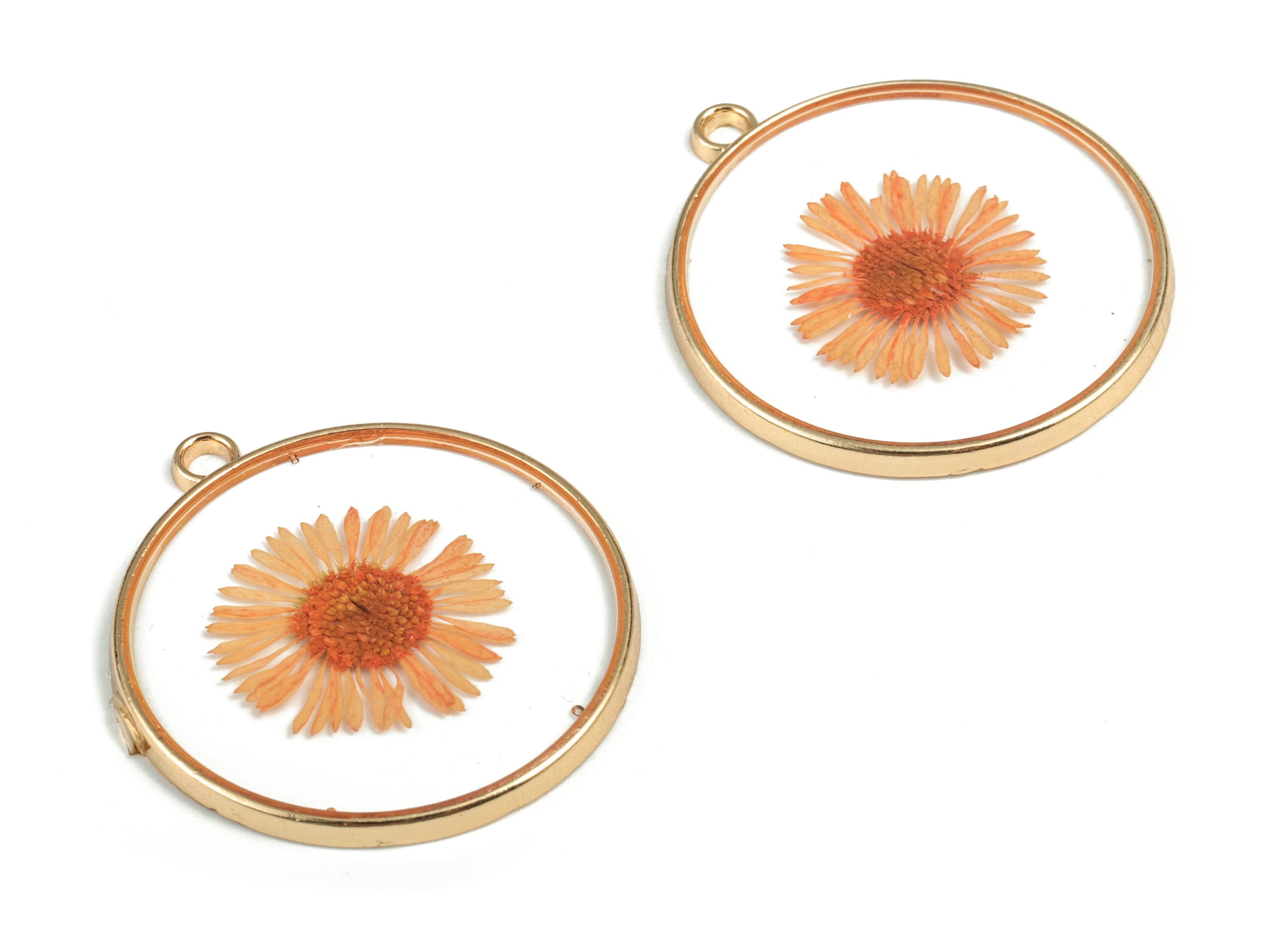 Resin Round Earring Charms - Resin Real Flower Pendant - Gold Tone Plated Alloy  - Jewelry Making Supplies - 32.52x29.41x2.52mm - RC1143D - DOMEDBAZAAR