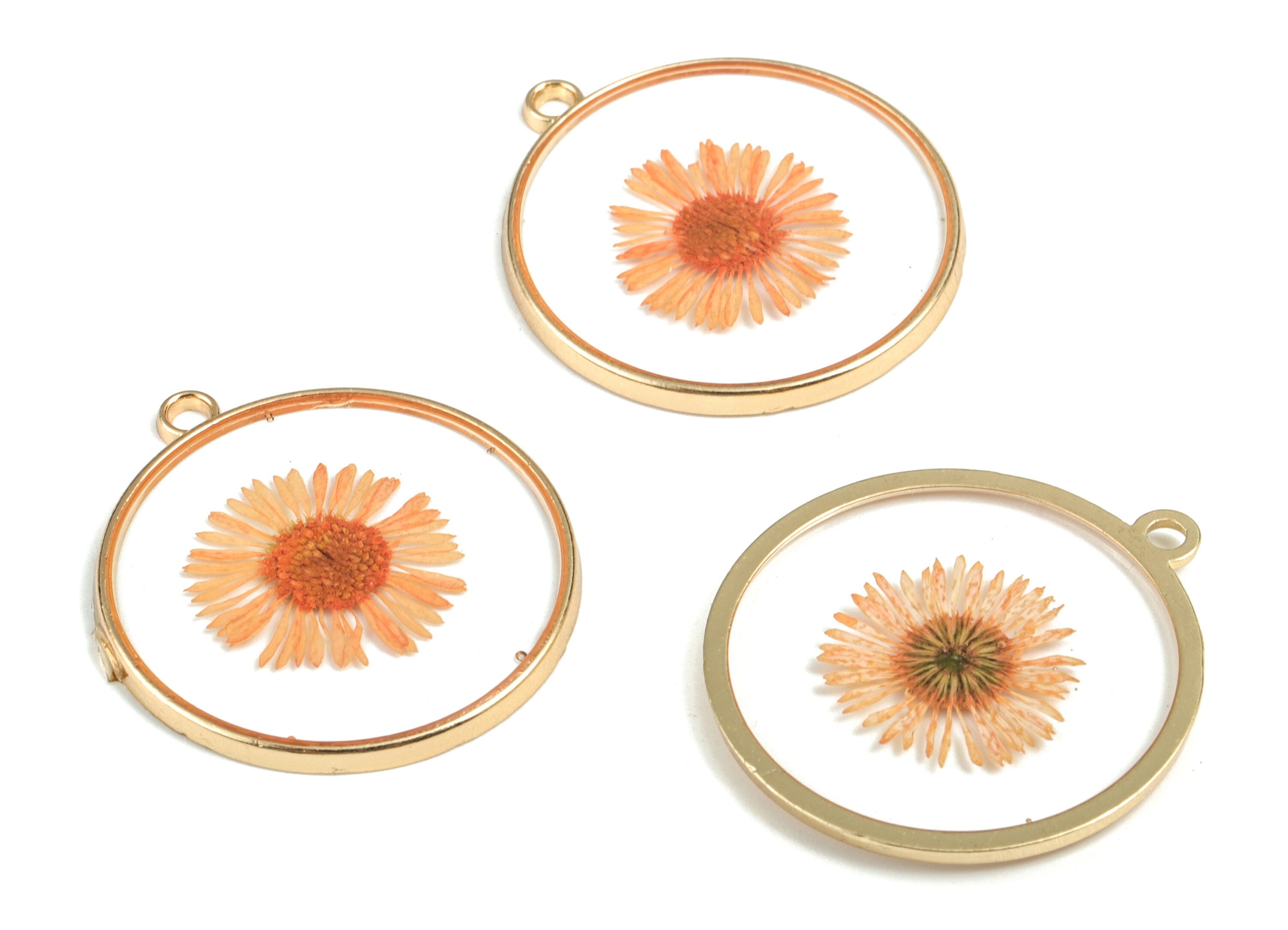 Resin Round Earring Charms - Resin Real Flower Pendant - Gold Tone Plated Alloy  - Jewelry Making Supplies - 32.52x29.41x2.52mm - RC1143D - DOMEDBAZAAR