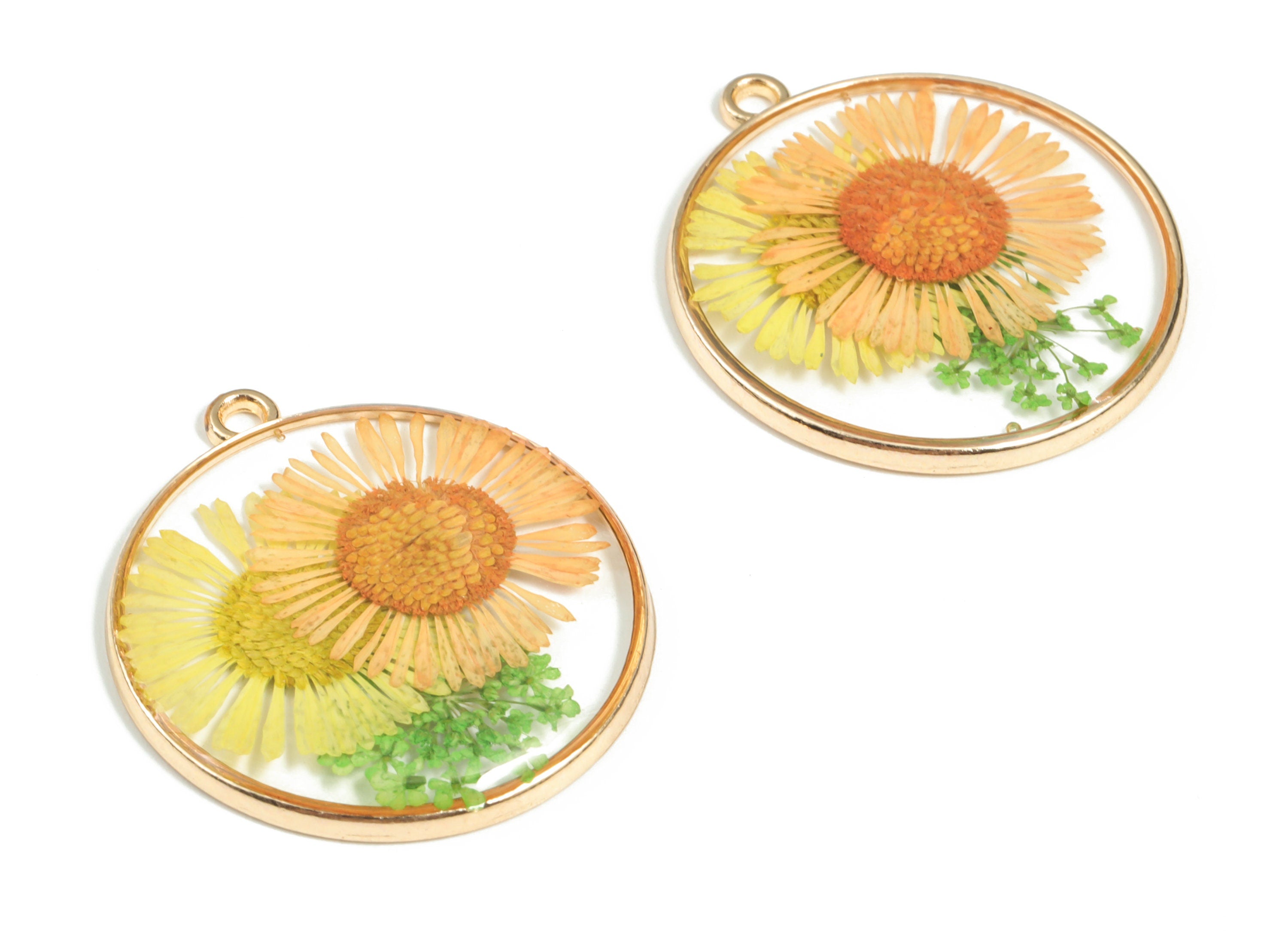 Resin Round Earring Charms - Resin Real Flower Pendant - Gold Tone Plated Alloy - Jewelry Making Supplies - 32.89x29.58x3.25mm - RC1173 - DOMEDBAZAAR