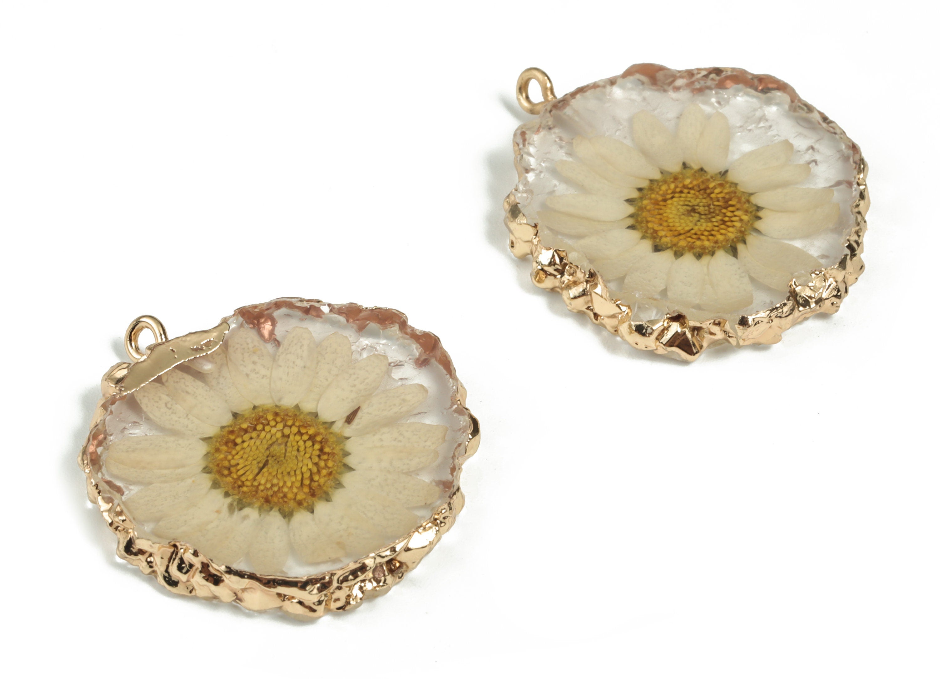 Resin Round Earring Charms - Natural Real Flower Pendant - Gold Tone Plated Resin - Jewelry Making Supplies - 35.39x30.54x5.02mm - RC1176 - DOMEDBAZAAR