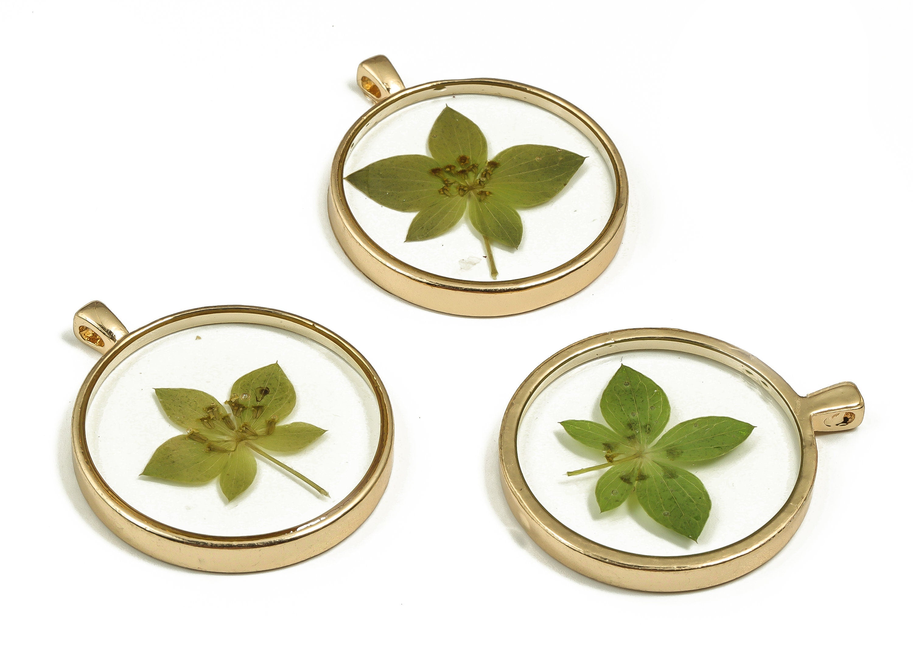 Epoxy Resin Round Real Flower Earring Charms - Epoxy Resin Rabbit Grass Pendant - Gold Tone Plated Alloy - 18.14x17.95x1.78mm - ZZ1831 - DOMEDBAZAAR