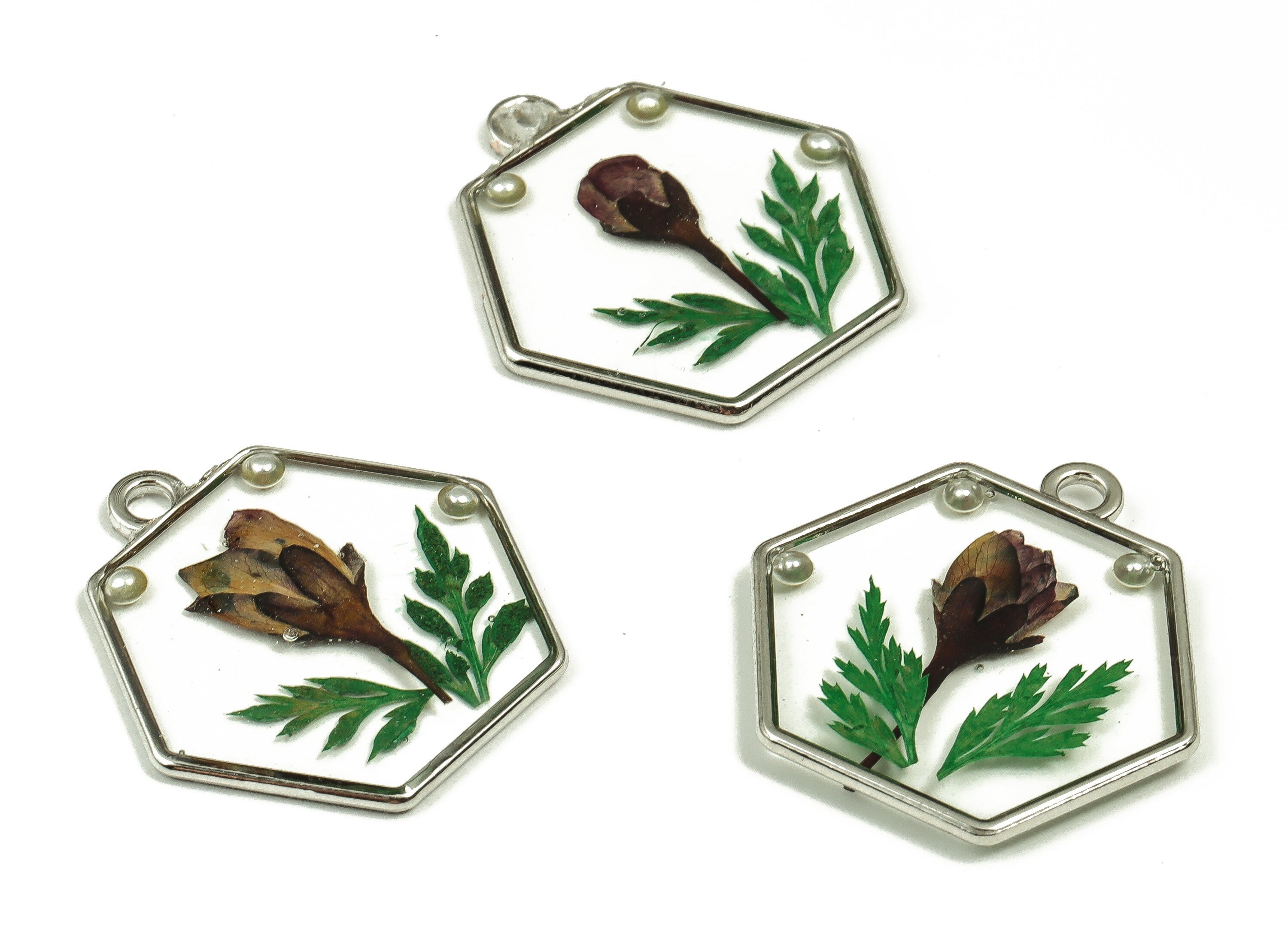 Epoxy Resin Hexagon Real Flower Charms - Malus Spectabilis&Black Pout Leaf Pendant - White Gold Tone Plated Alloy - 28.7x27.9x2.5mm - ZZ1826 - DOMEDBAZAAR