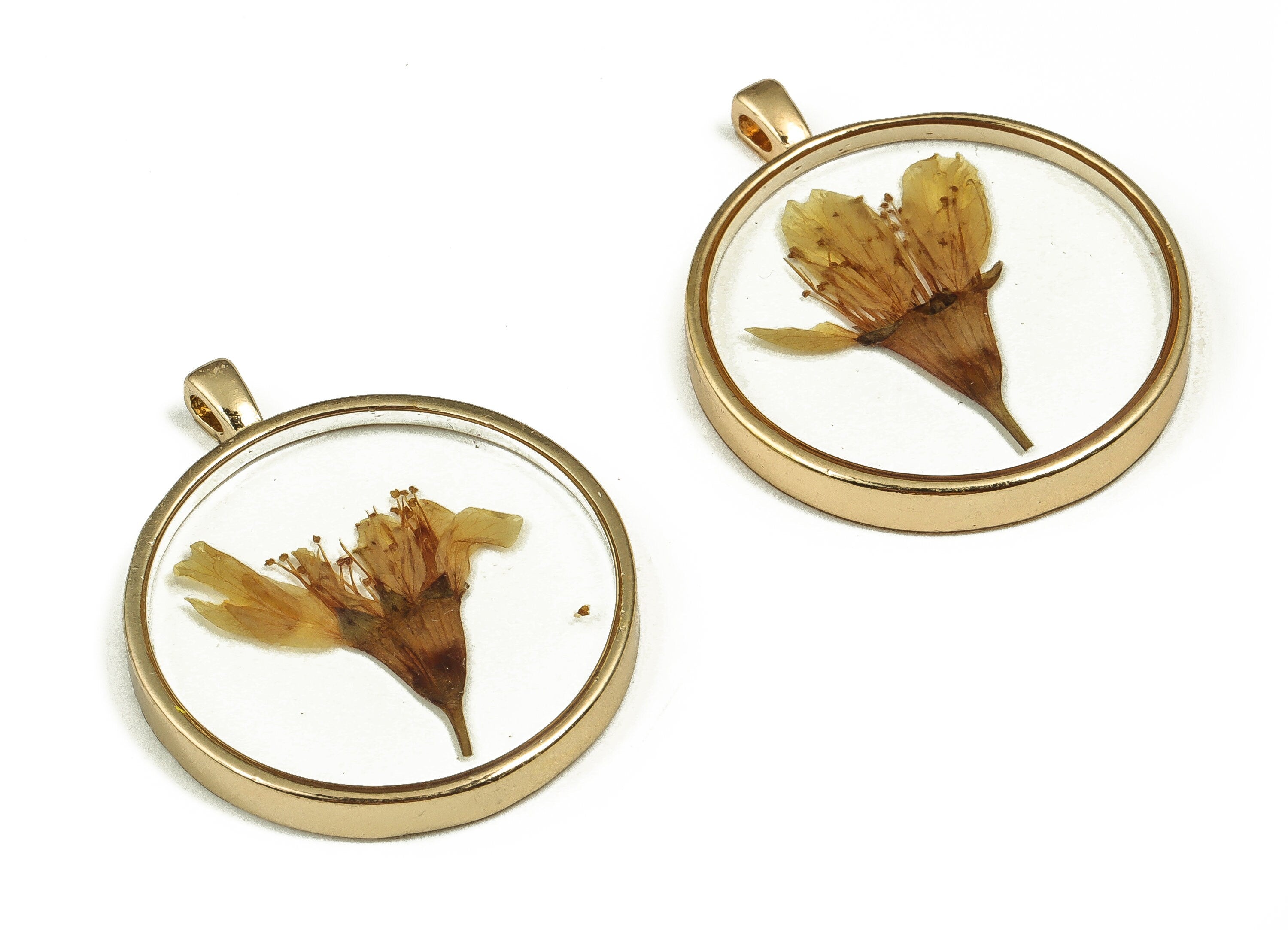 Epoxy Resin Round Real Flower Earring Charms - Epoxy Resin Malus Spectabilis Pendant - Gold Tone Plated Alloy - 34.57x29.05x4.79mm - ZZ1837 - DOMEDBAZAAR