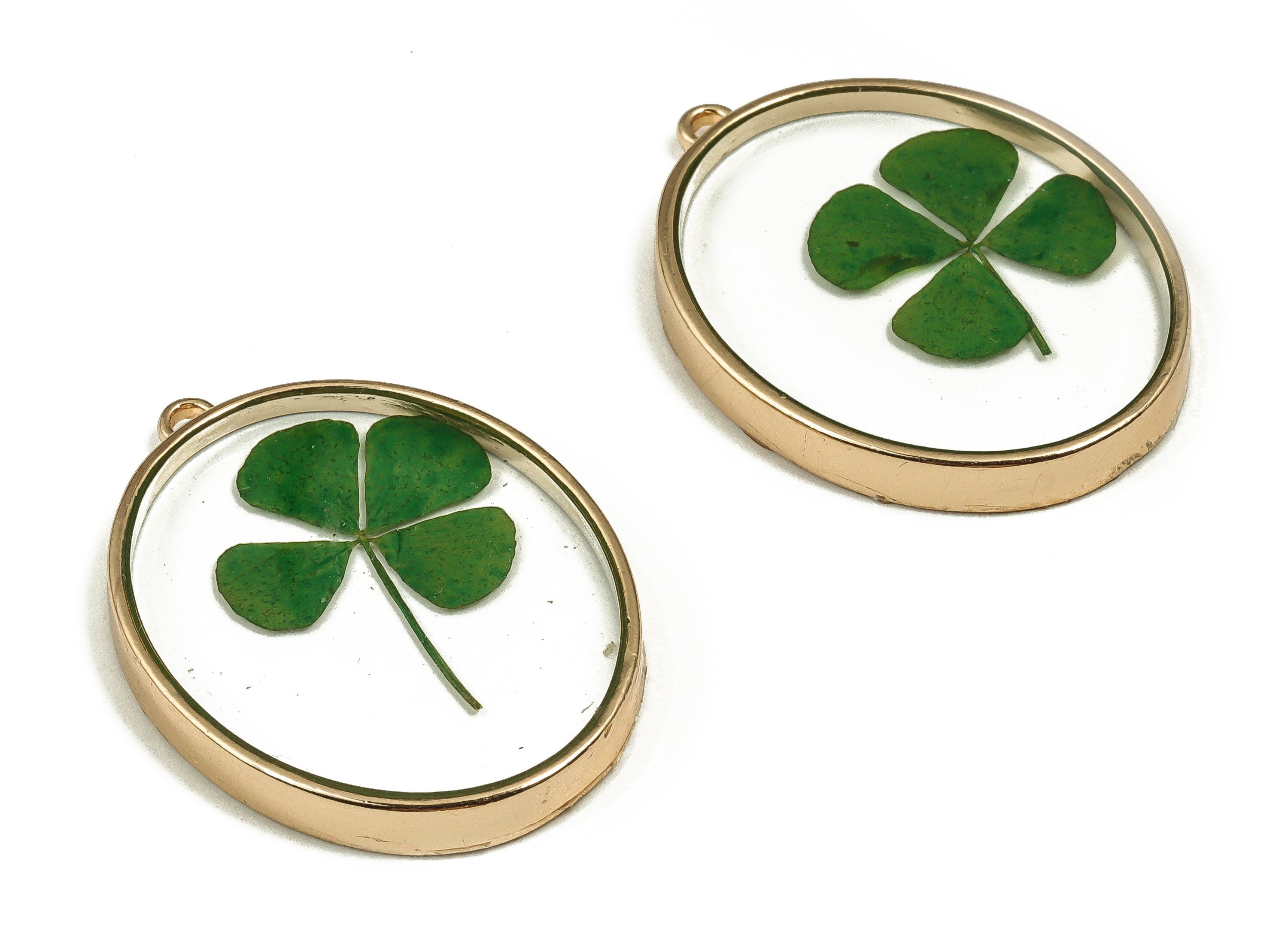 Epoxy Resin Oval Real Flower Earring Charms - Epoxy Resin 4Clover Pendant - Gold Tone Plated Alloy - 41.33x30.11x4.4mm - ZZ1858 - DOMEDBAZAAR