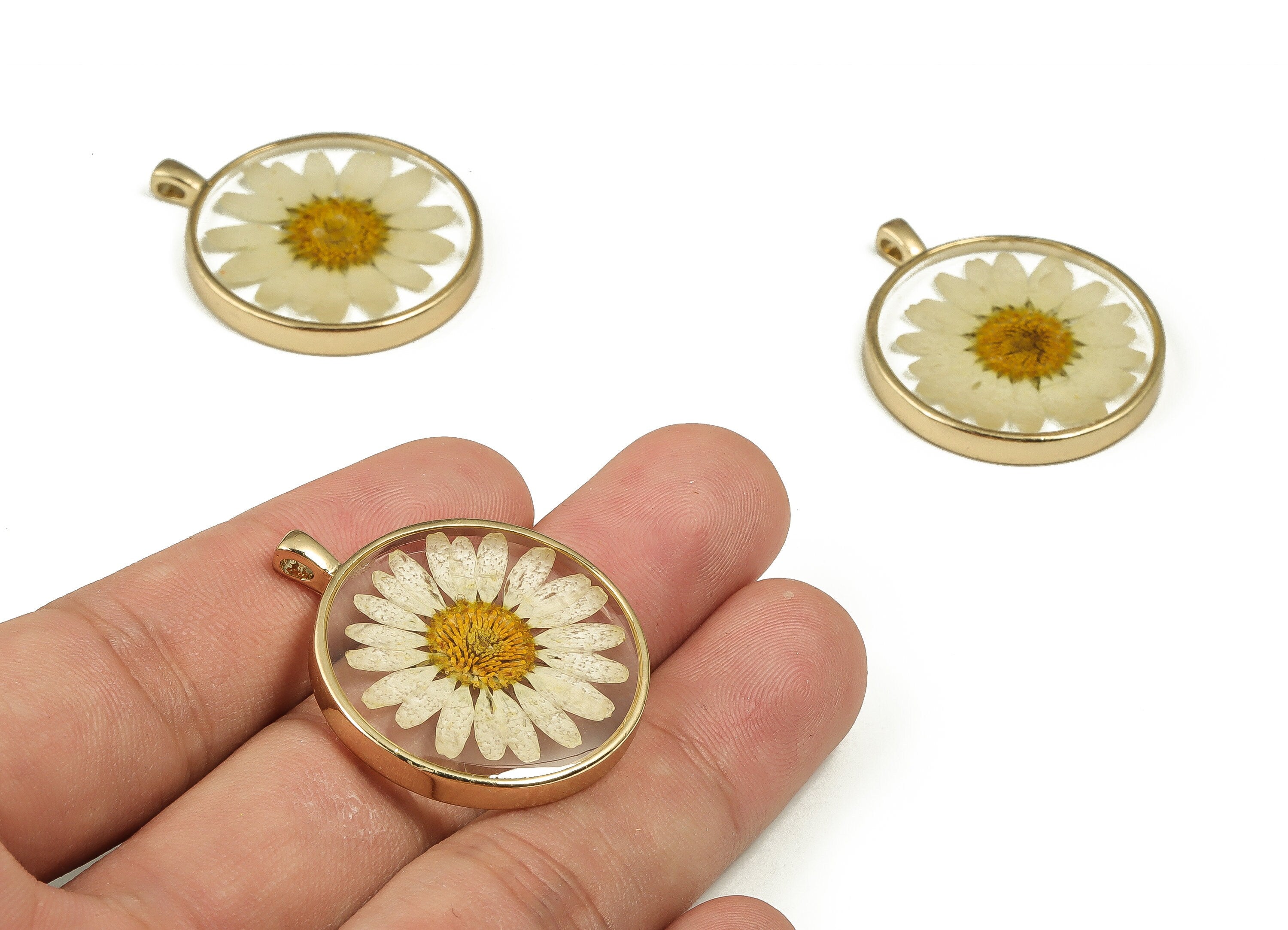 Epoxy Resin Round Real Flower Earring Charms - Epoxy Resin Crinkle Chrysanthemum Pendant - Gold Tone Plated Alloy - 34.9x28.9x4.8mm - ZZ1835 - DOMEDBAZAAR