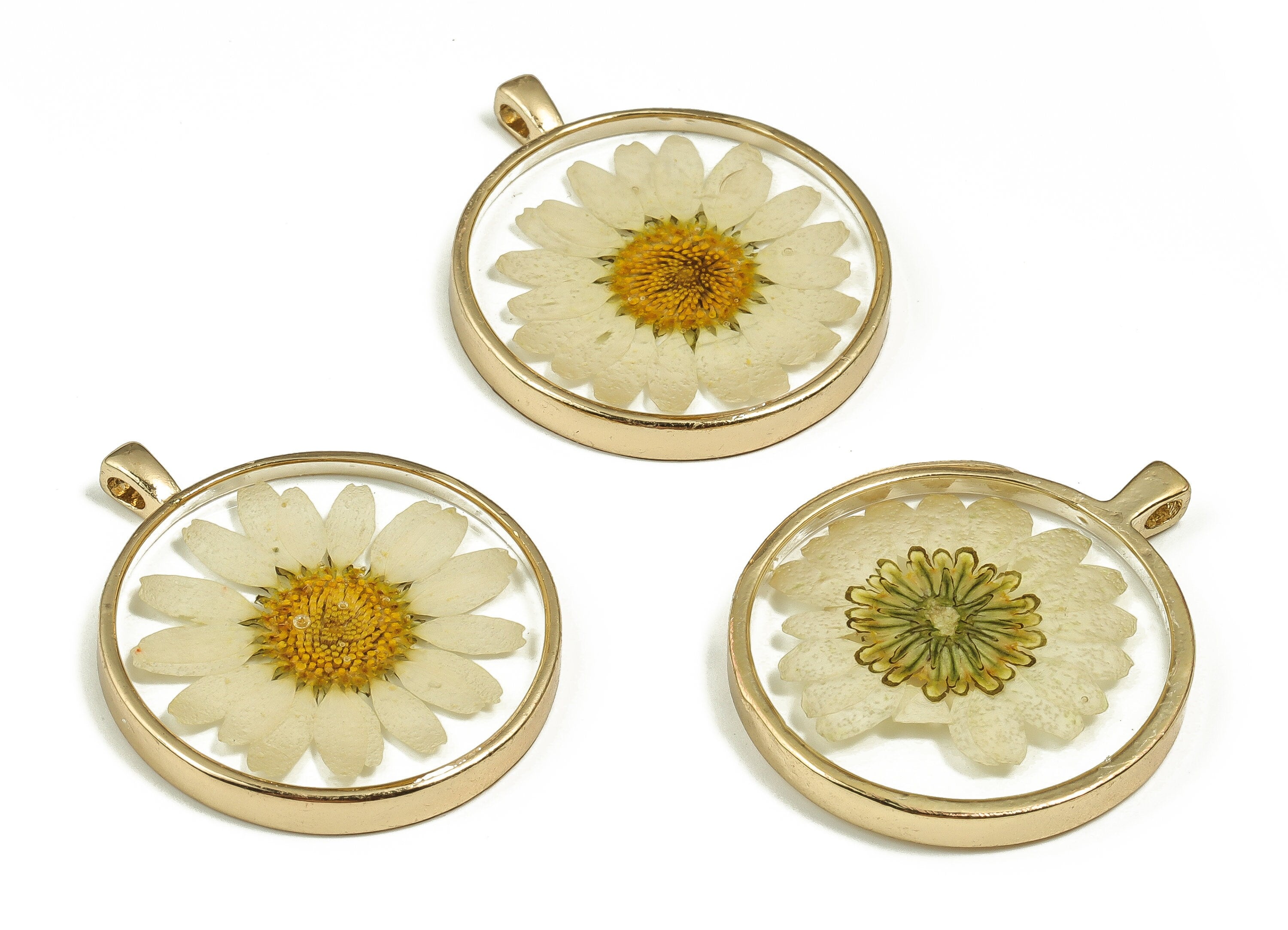 Epoxy Resin Round Real Flower Earring Charms - Epoxy Resin Crinkle Chrysanthemum Pendant - Gold Tone Plated Alloy - 34.9x28.9x4.8mm - ZZ1835 - DOMEDBAZAAR