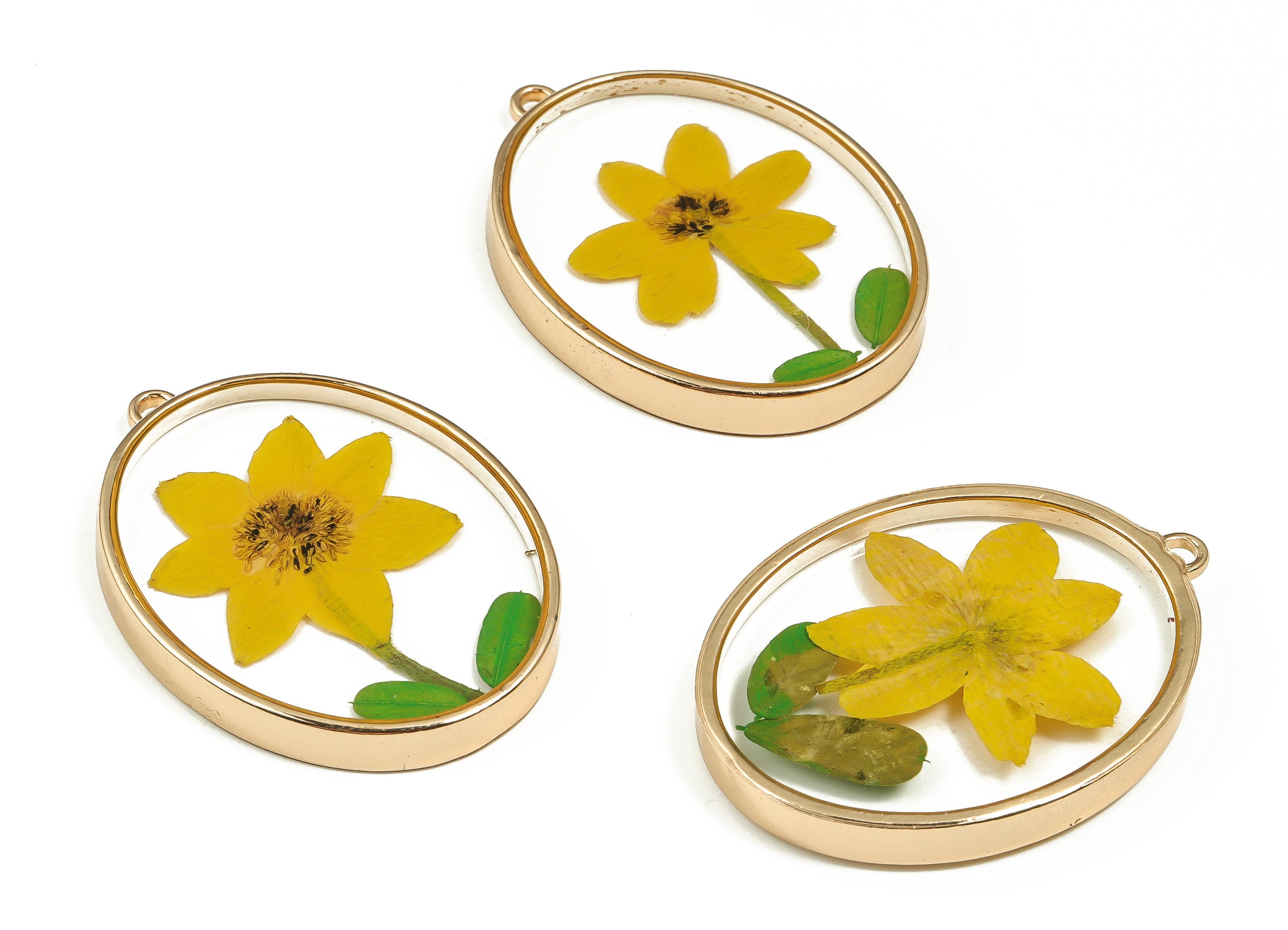 Epoxy Resin Oval Real Flower Earring Charms - Epoxy Resin Annunciator Pendant - Gold Tone Plated Alloy - 40.92x30.33x5.14mm - ZZ1883 - DOMEDBAZAAR