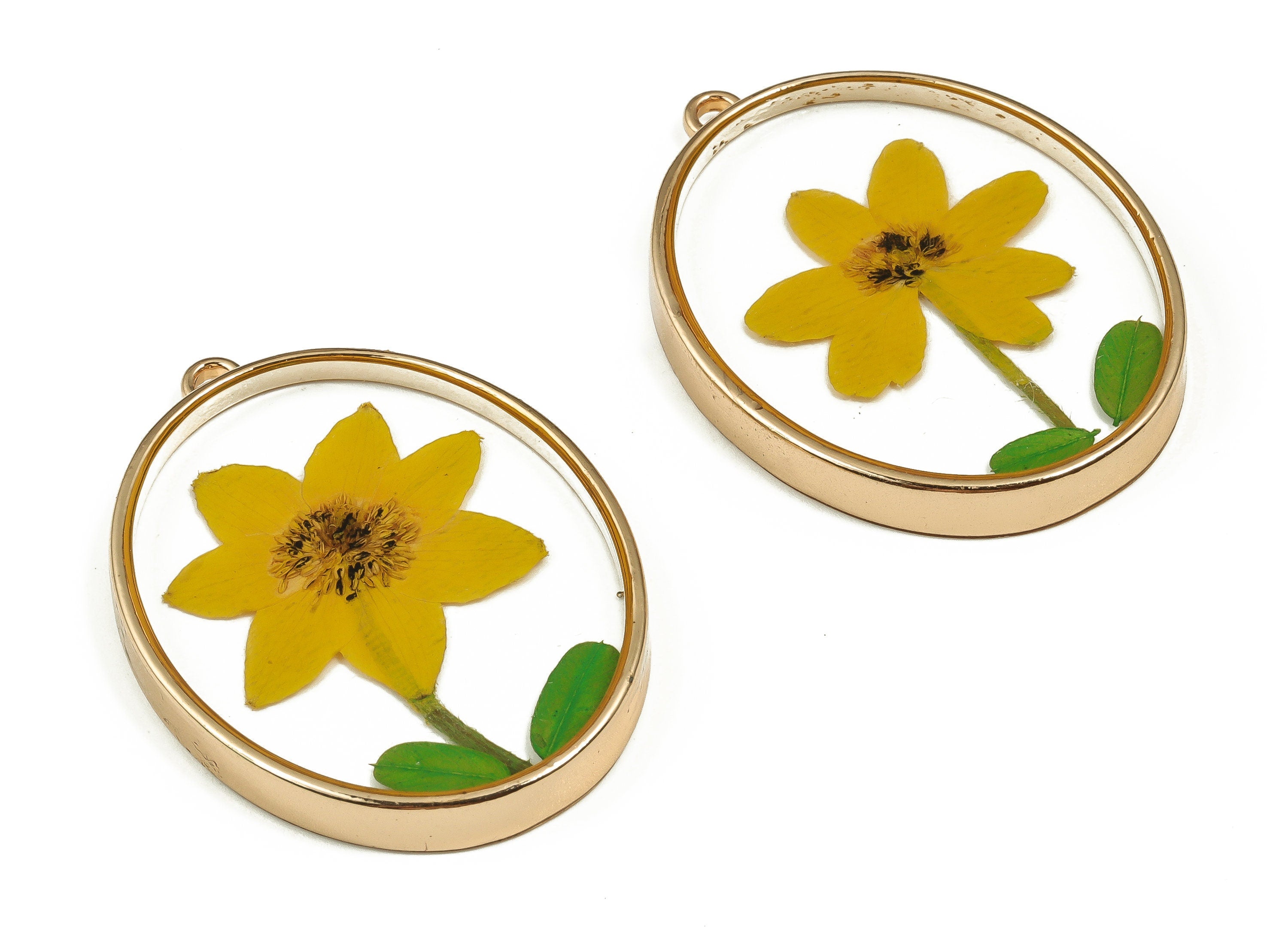 Epoxy Resin Oval Real Flower Earring Charms - Epoxy Resin Annunciator Pendant - Gold Tone Plated Alloy - 40.92x30.33x5.14mm - ZZ1883 - DOMEDBAZAAR