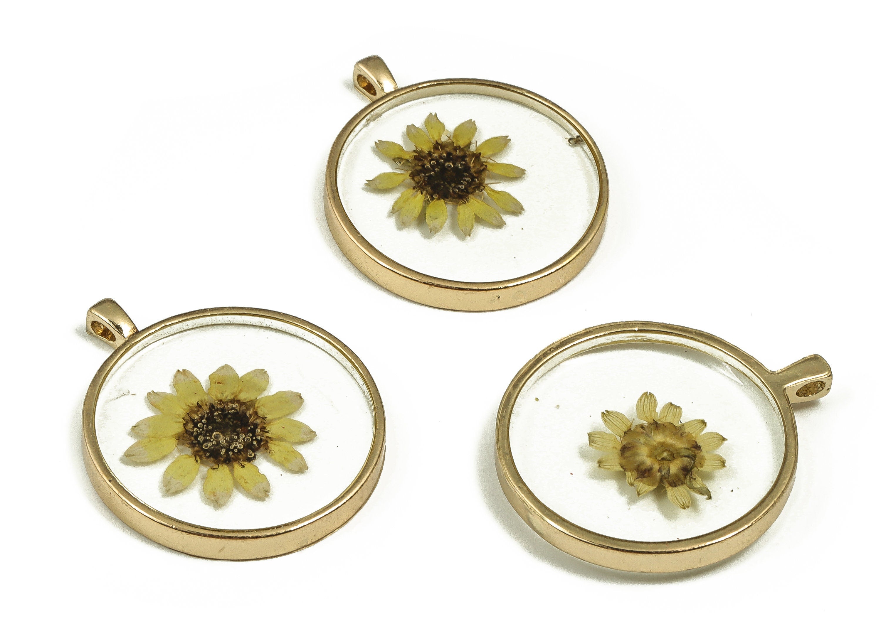 Epoxy Resin Round Real Flower Earring Charms - Epoxy Resin Sunflower Pendant - Gold Tone Plated Alloy - 35.65x29.72x3.8mm - ZZ1834 - DOMEDBAZAAR
