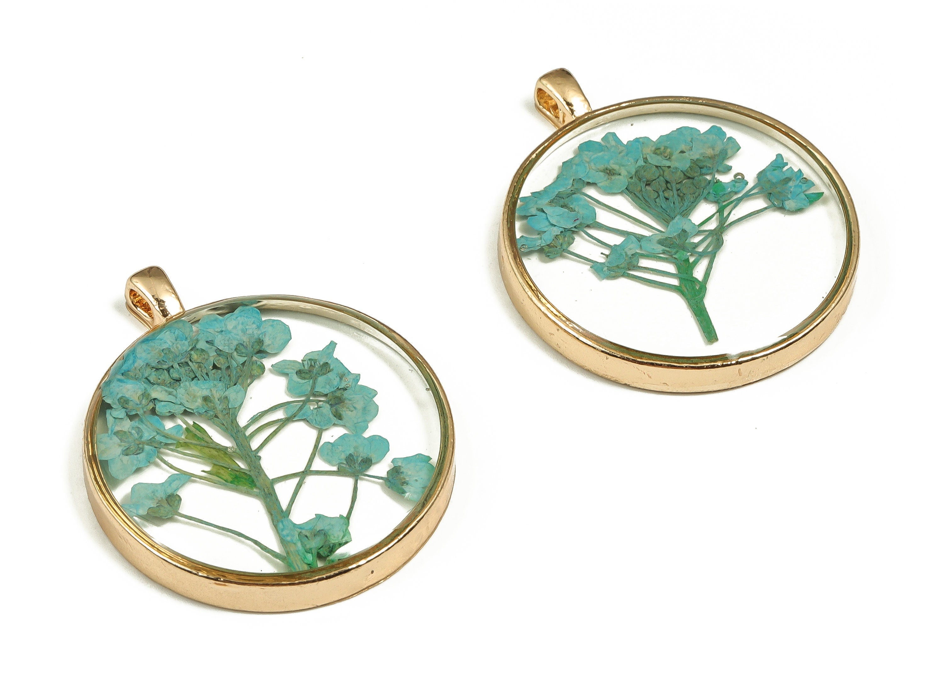 Epoxy Resin Round Real Flower Earring Charms - Epoxy Resin Sweet Alyssum Pendant - Gold Tone Plated Alloy - 34.99x29.01x4.76mm - ZZ1916 - DOMEDBAZAAR