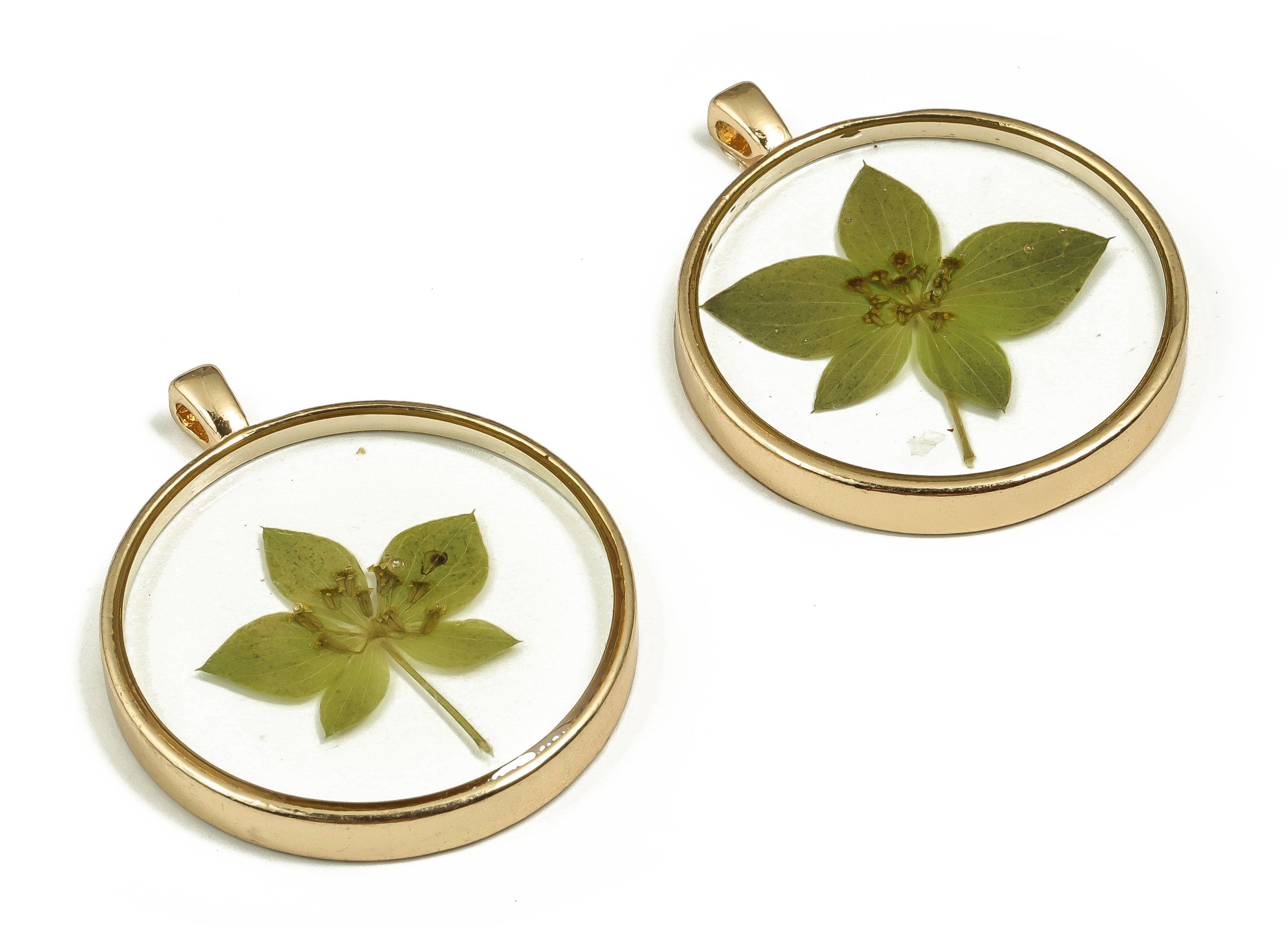 Epoxy Resin Round Real Flower Earring Charms - Epoxy Resin Rabbit Grass Pendant - Gold Tone Plated Alloy - 18.14x17.95x1.78mm - ZZ1831 - DOMEDBAZAAR