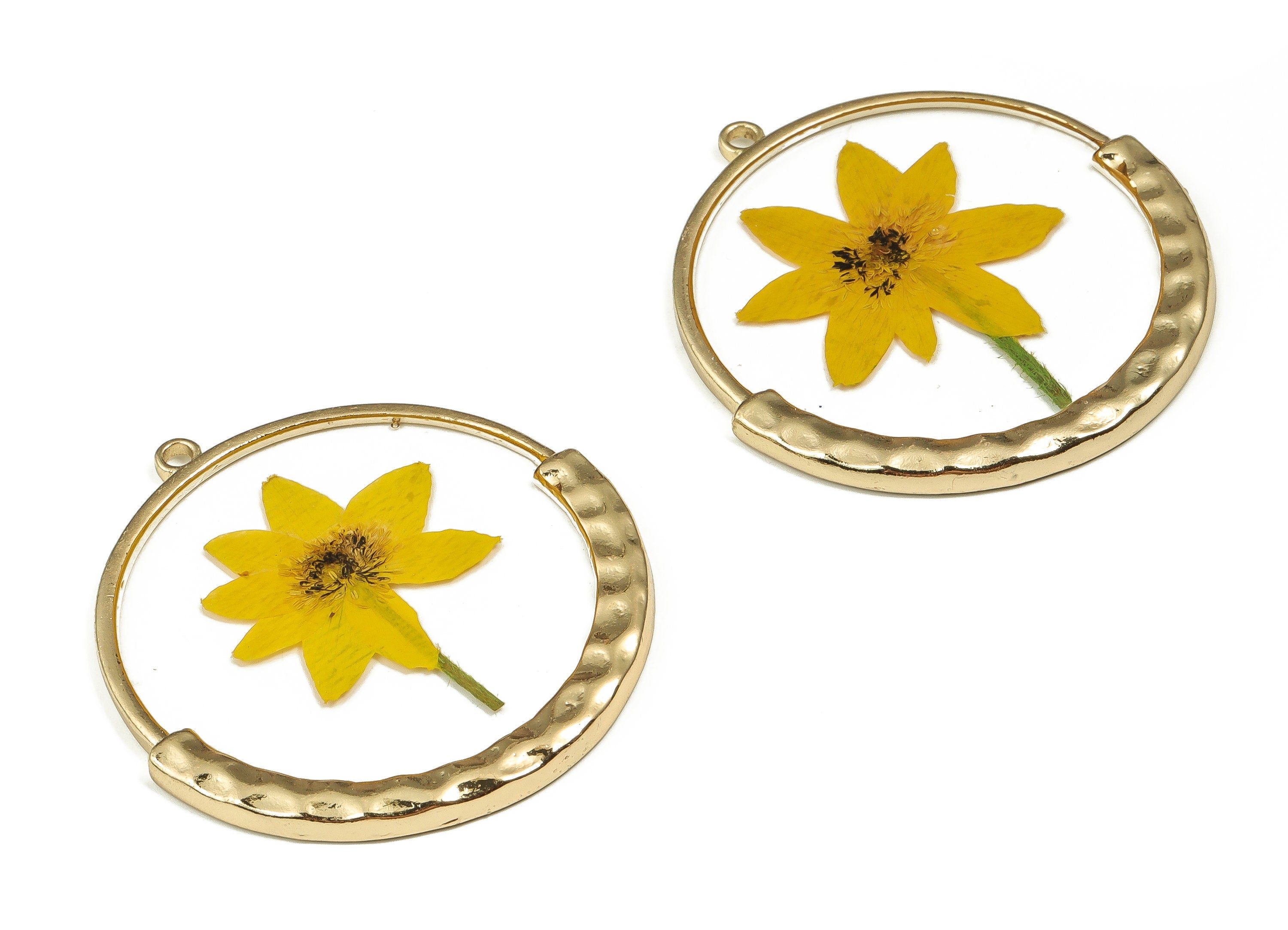 Epoxy Resin Round Real Flower Earring Charms - Epoxy Resin Chrysanthemum Pendant - Gold Tone Plated Alloy - 49.52x46.36x2.98mm - ZZ1894 - DOMEDBAZAAR