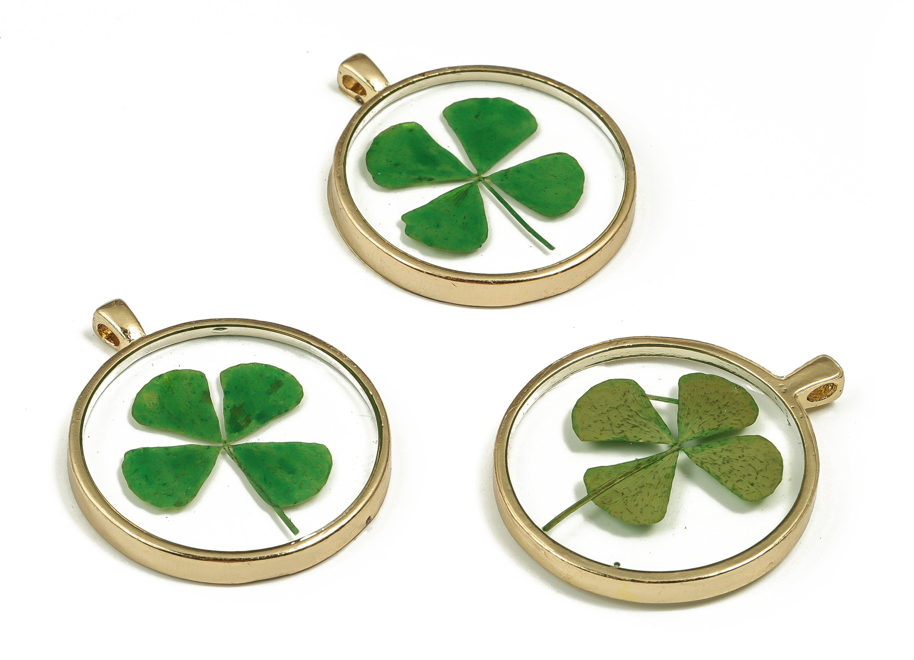 Epoxy Resin Round Real Flower Earring Charms - Epoxy Resin 4 Clover Pendant - Gold Tone Plated Alloy - 34.64x28.98x4.5mm - ZZ1829 - DOMEDBAZAAR