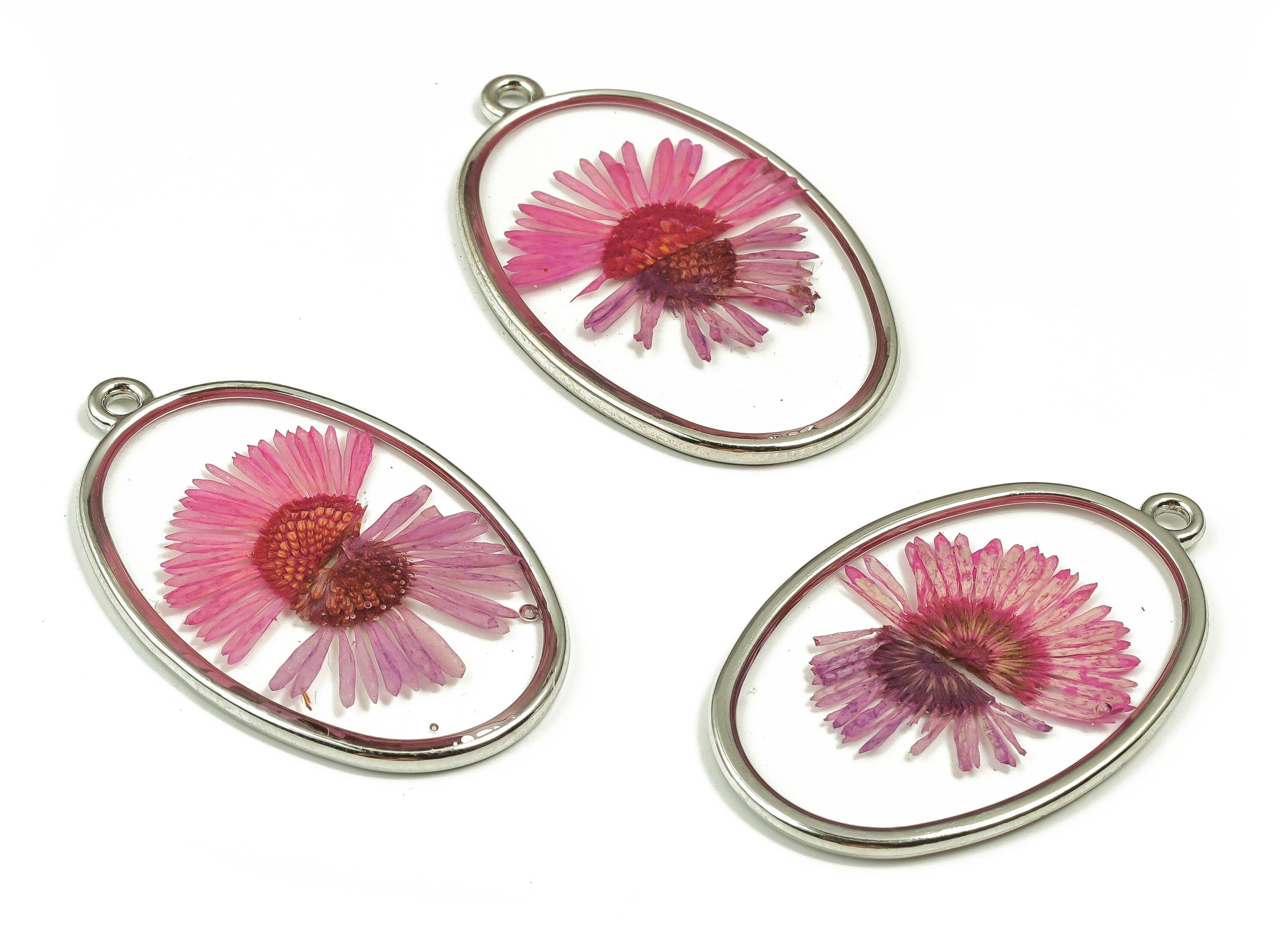 Epoxy Resin Oval Real Flower Charms - Epoxy Resin Needle Chrysanthemum Pendant - White Gold Tone Plated Alloy - 28.7x27.9x2.5mm - ZZ1841 - DOMEDBAZAAR