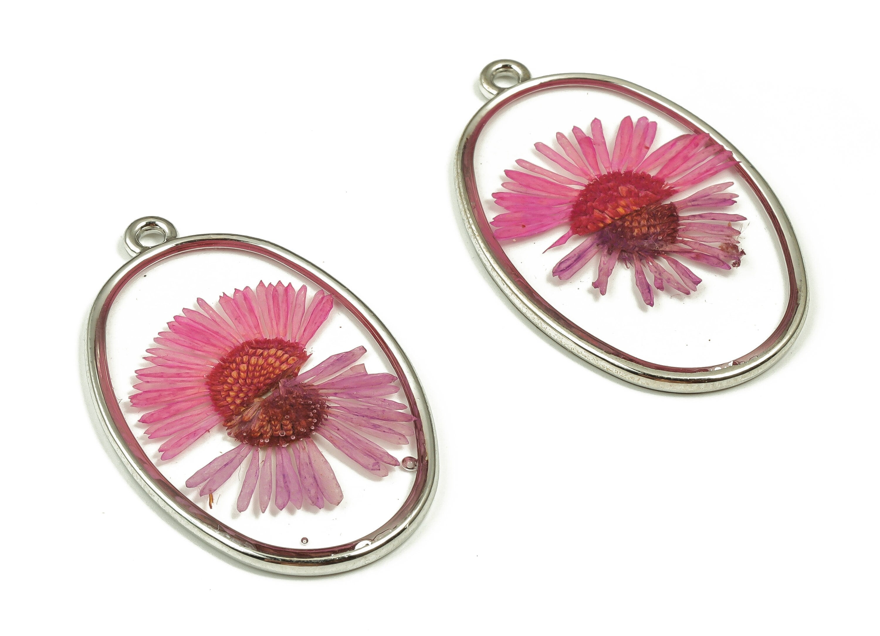 Epoxy Resin Oval Real Flower Charms - Epoxy Resin Needle Chrysanthemum Pendant - White Gold Tone Plated Alloy - 28.7x27.9x2.5mm - ZZ1841 - DOMEDBAZAAR