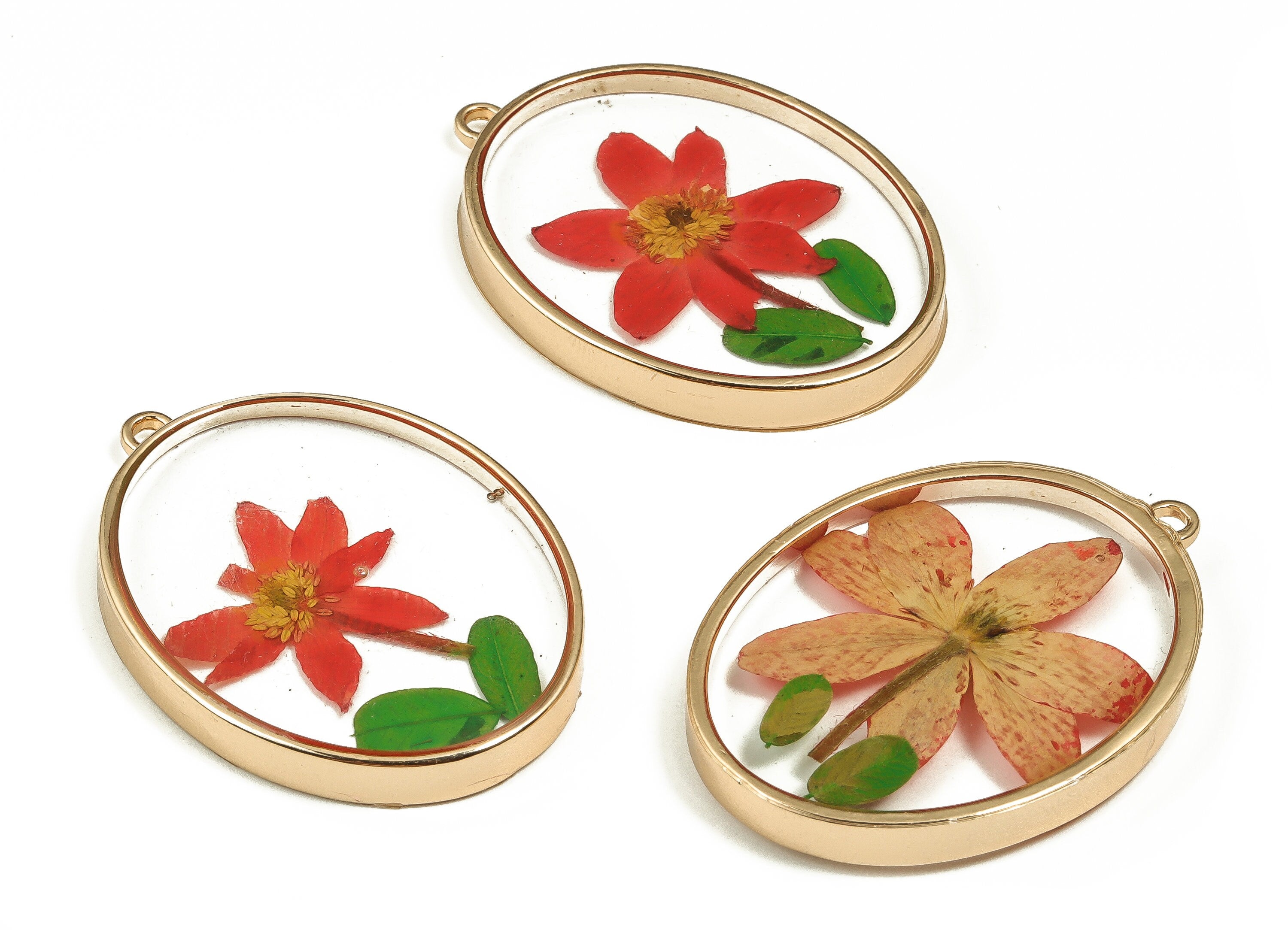 Epoxy Resin Oval Real Flower Earring Charms - Epoxy Resin Annunciator Pendant - Gold Tone Plated Alloy - 41.32x30.08x5.07mm - ZZ1882 - DOMEDBAZAAR