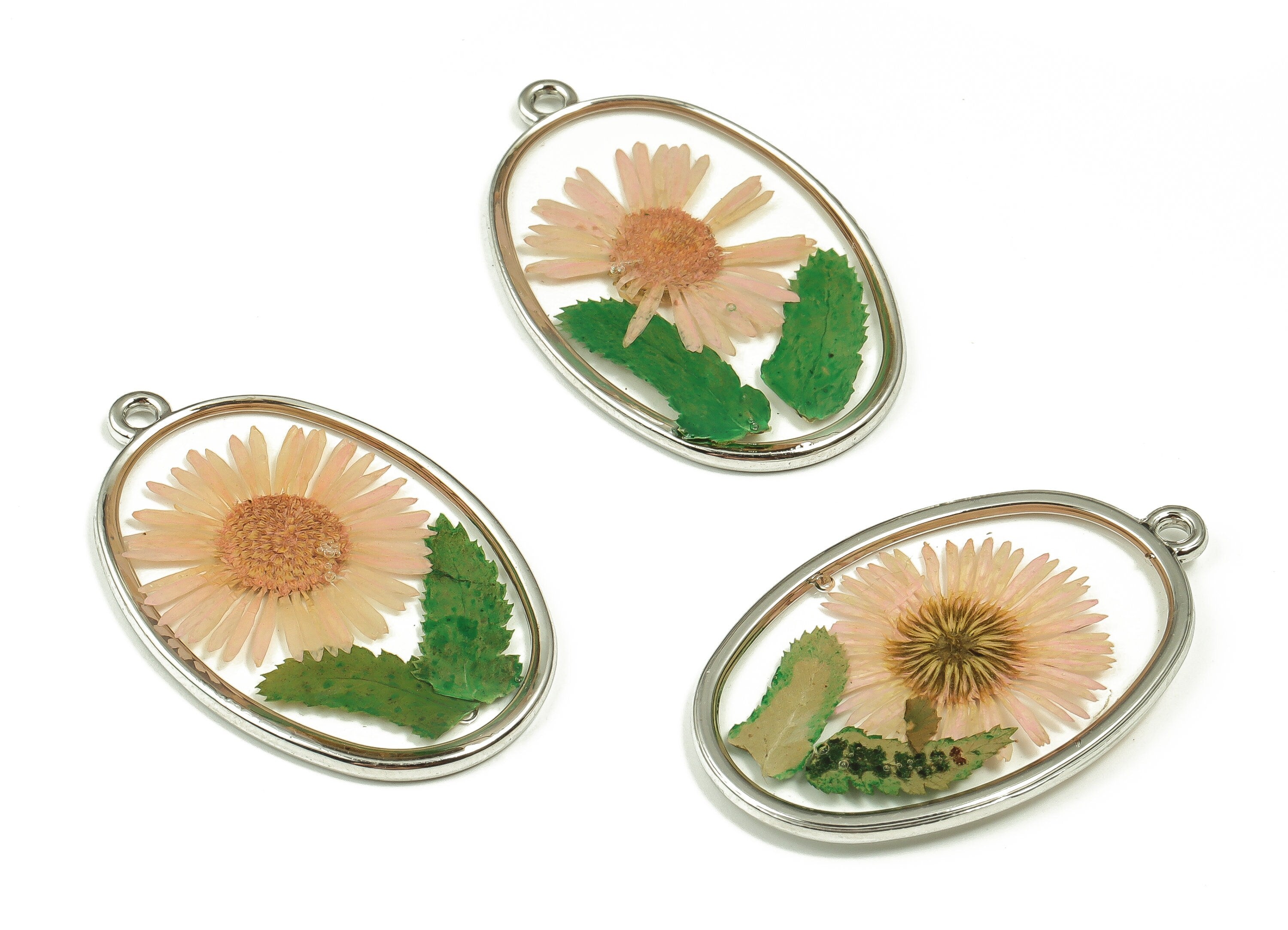Epoxy Resin Oval Real Flower Earring Charms - Needle Chrysanthemum&Leaf Pendant - White Gold Tone Plated Alloy - 34.9x22.19x2.58mm - ZZ1840 - DOMEDBAZAAR