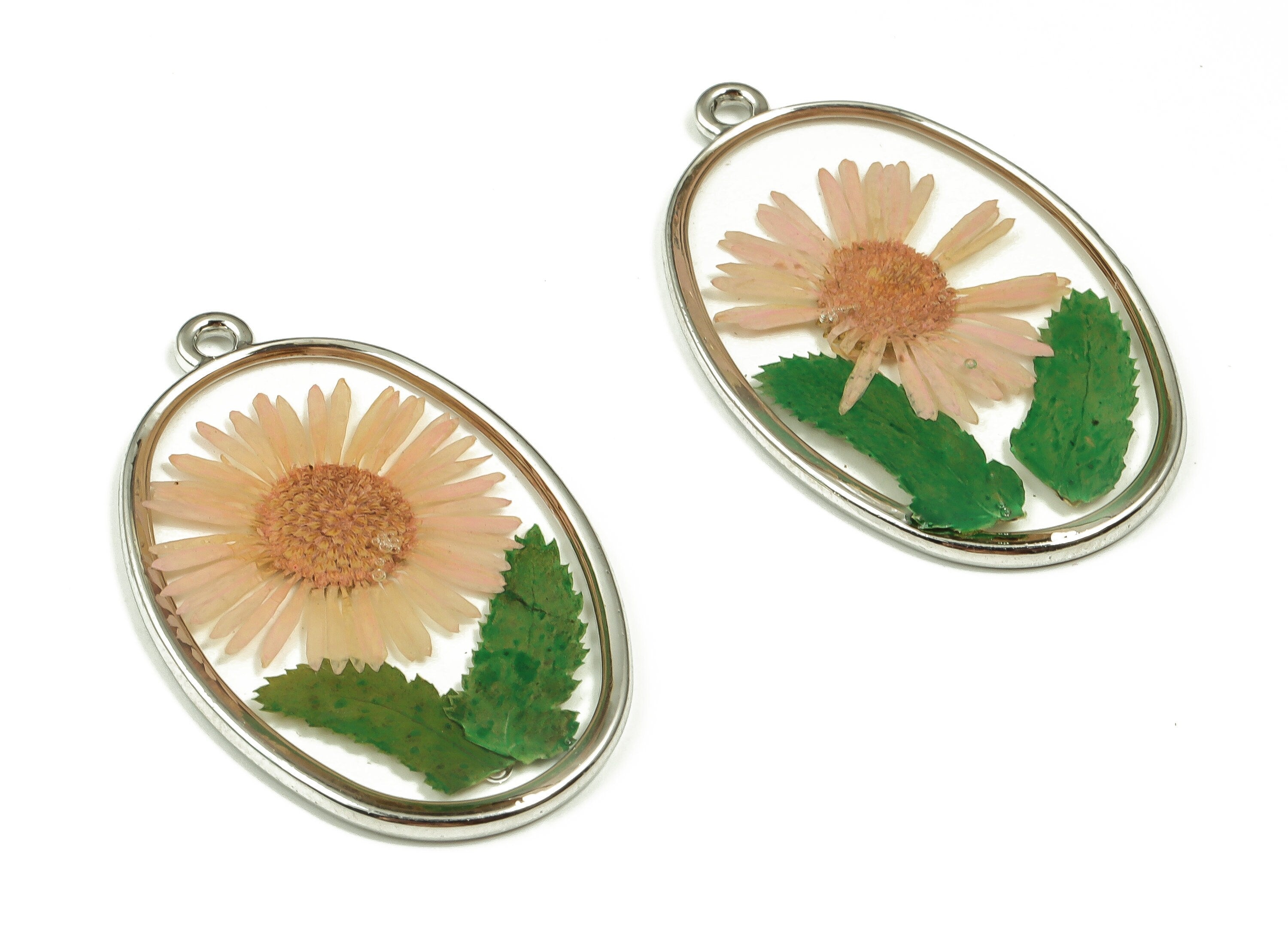 Epoxy Resin Oval Real Flower Earring Charms - Needle Chrysanthemum&Leaf Pendant - White Gold Tone Plated Alloy - 34.9x22.19x2.58mm - ZZ1840 - DOMEDBAZAAR