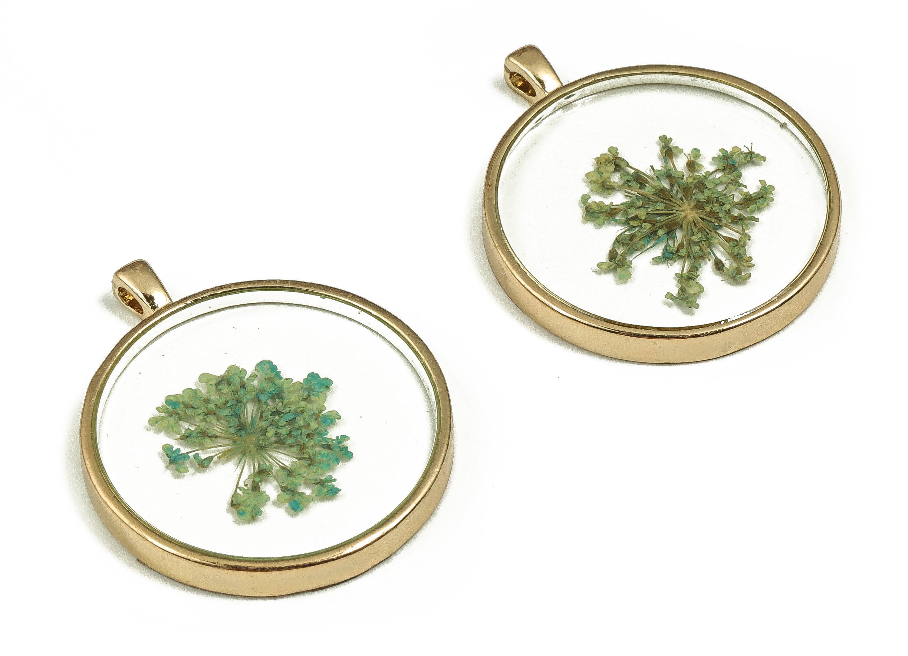 Epoxy Resin Round Real Flower Earring Charms - Epoxy Resin Lace Flower Pendant - Gold Tone Plated Alloy - 35.08x29.15x4.48mm - ZZ1838 - DOMEDBAZAAR