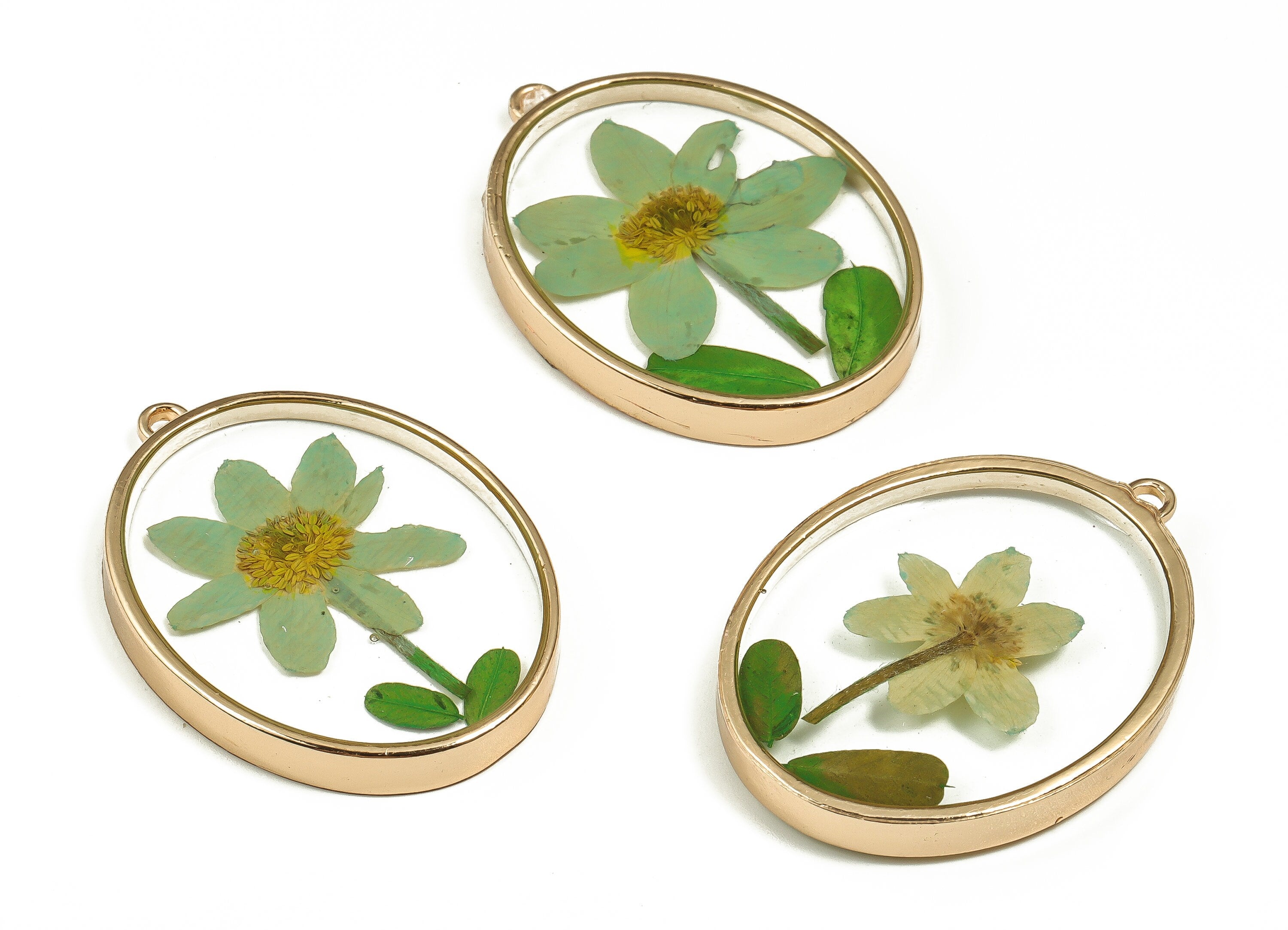 Epoxy Resin Oval Real Flower Earring Charms - Epoxy Resin Annunciator Pendant - Gold Tone Plated Alloy - 41.34x30.13x5.39mm - ZZ1884 - DOMEDBAZAAR
