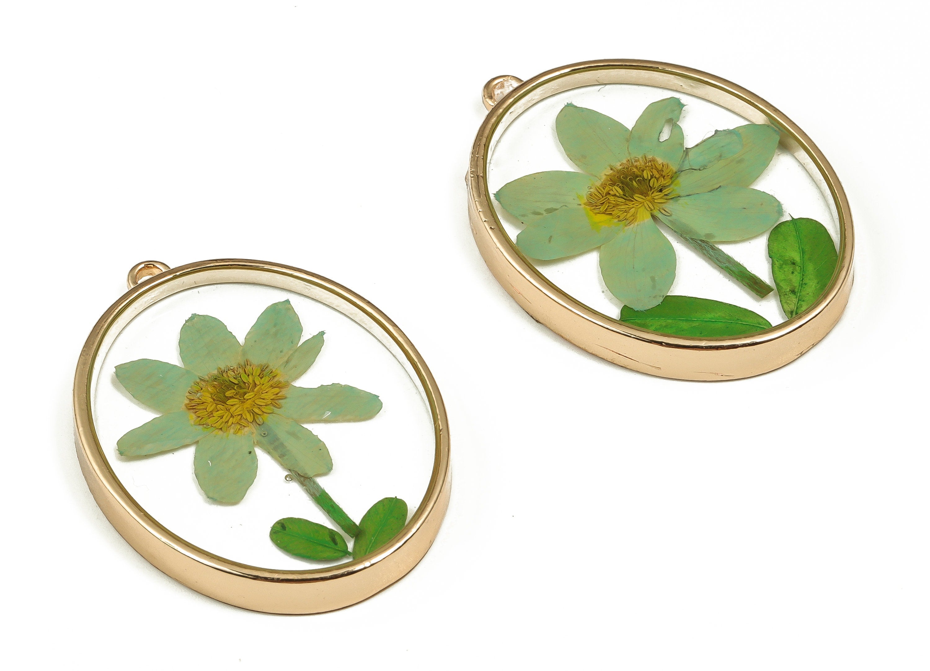 Epoxy Resin Oval Real Flower Earring Charms - Epoxy Resin Annunciator Pendant - Gold Tone Plated Alloy - 41.34x30.13x5.39mm - ZZ1884 - DOMEDBAZAAR