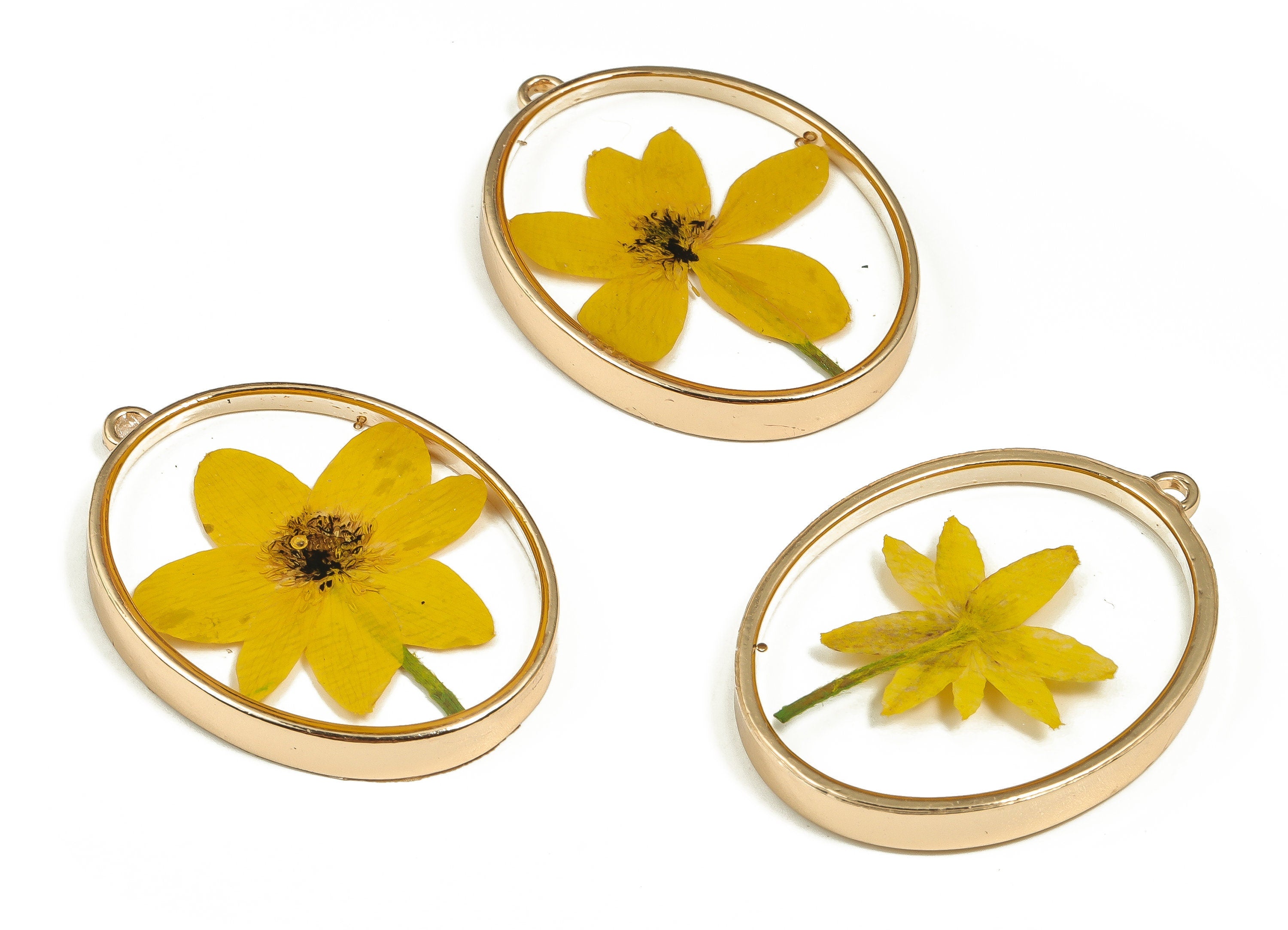 Epoxy Resin Oval Real Flower Earring Charms - Epoxy Resin Annunciator Pendant - Gold Tone Plated Alloy - 41.27x30.14x4.95mm - ZZ1933 - DOMEDBAZAAR