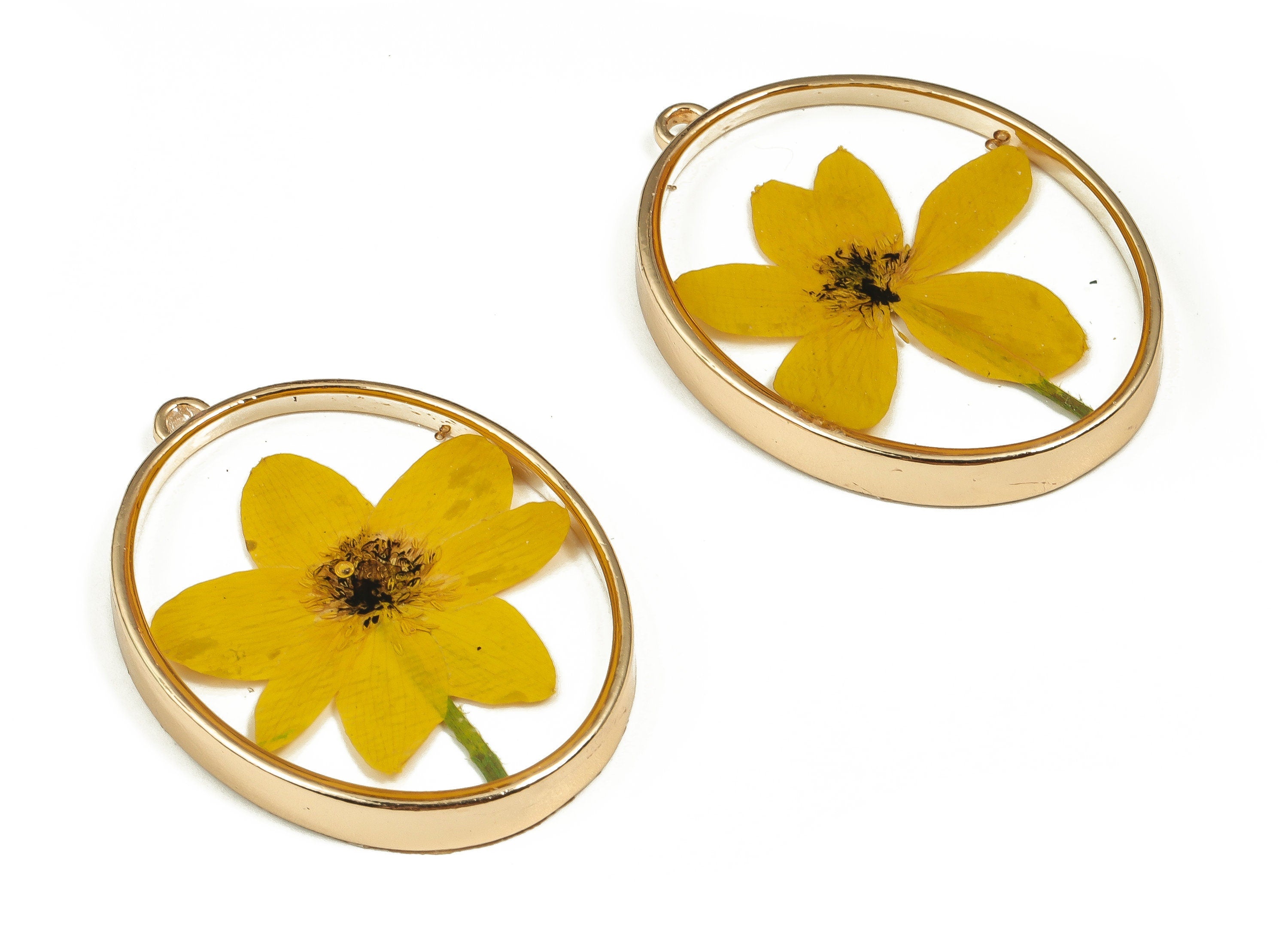 Epoxy Resin Oval Real Flower Earring Charms - Epoxy Resin Annunciator Pendant - Gold Tone Plated Alloy - 41.27x30.14x4.95mm - ZZ1933 - DOMEDBAZAAR