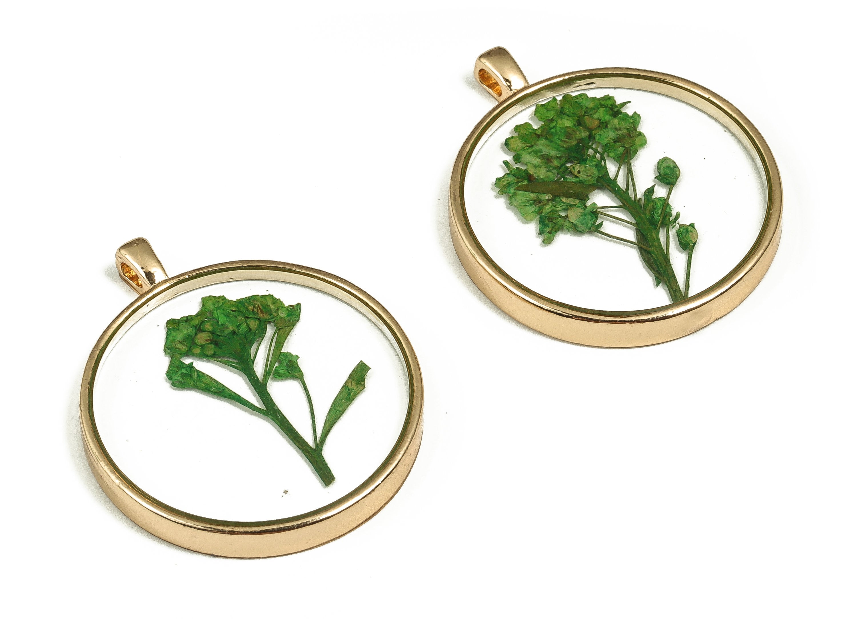 Epoxy Resin Round Real Flower Earring Charms - Epoxy Resin Sweet Alyssum Pendant - Gold Tone Plated Alloy - 34.65x29.21x3.79mm - ZZ1898 - DOMEDBAZAAR