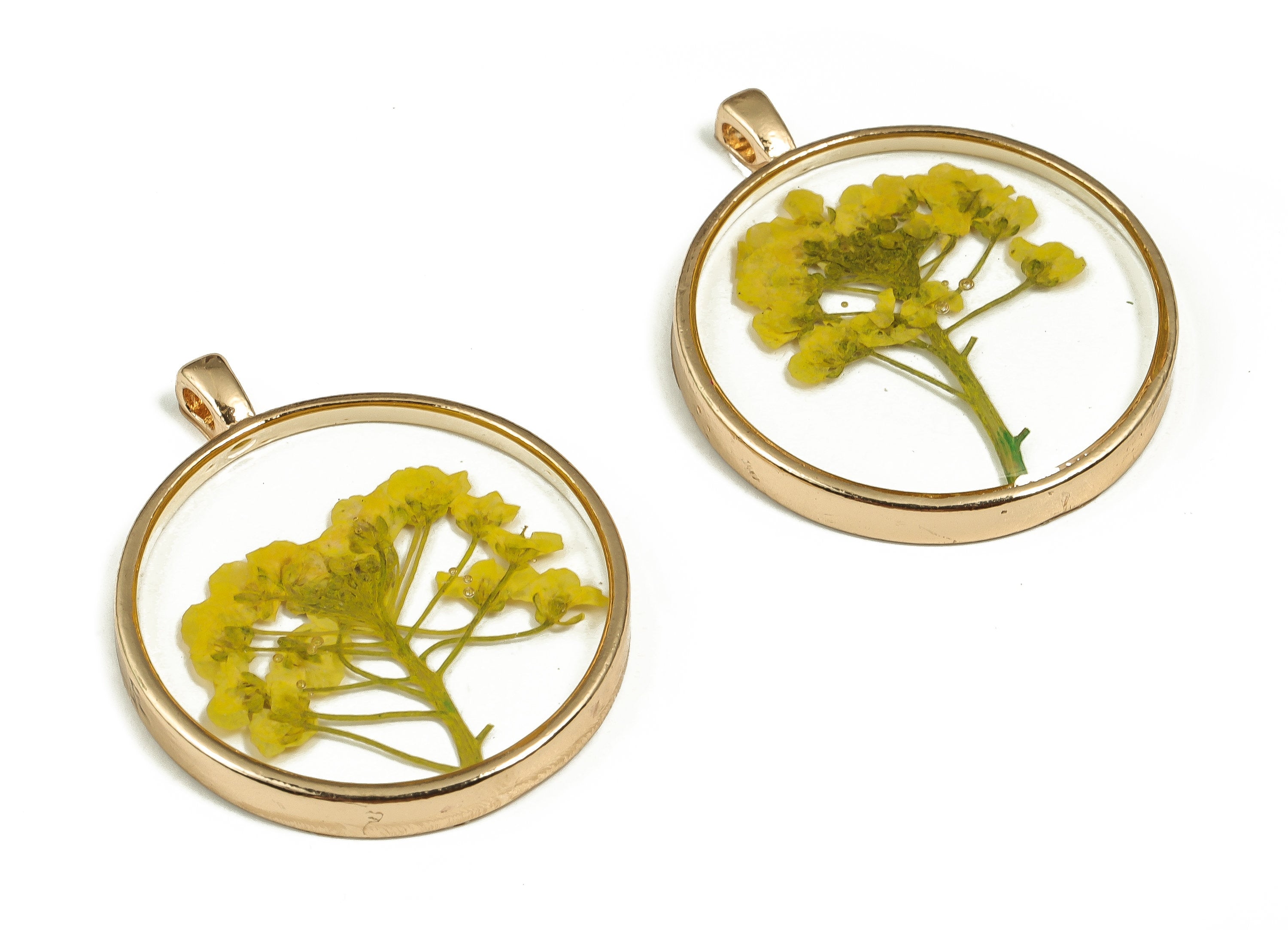 Epoxy Resin Round Real Flower Earring Charms - Epoxy Resin Sweet Alyssum Pendant - Gold Tone Plated Alloy - 35.31x28.89x4.67mm - ZZ1918 - DOMEDBAZAAR