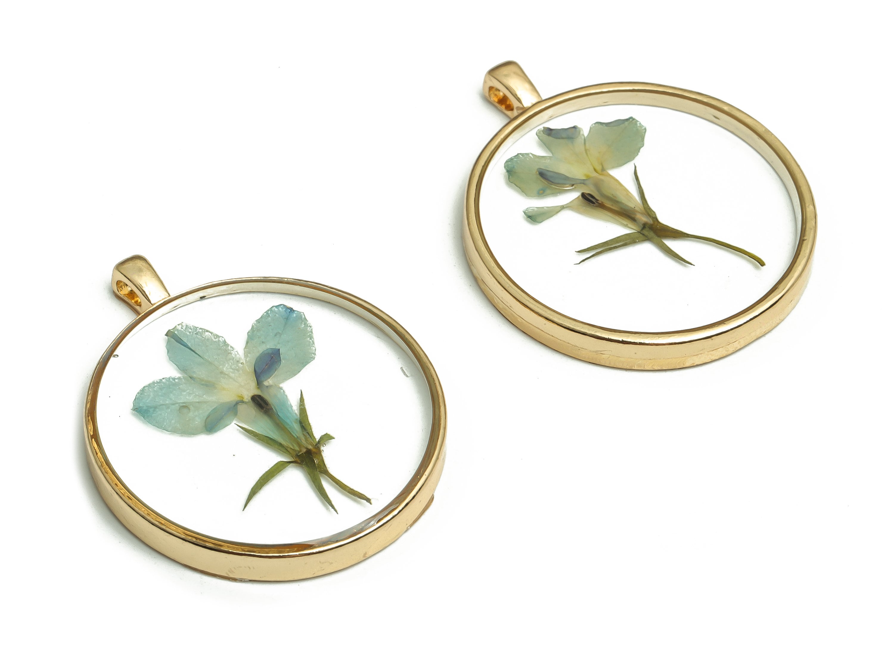 Epoxy Resin Round Real Flower Earring Charms - Pressed Garden Lobelia Pendant Charms - Gold Tone Plated Alloy -35.19x28.79x3.75mm- ZZ1940 - DOMEDBAZAAR