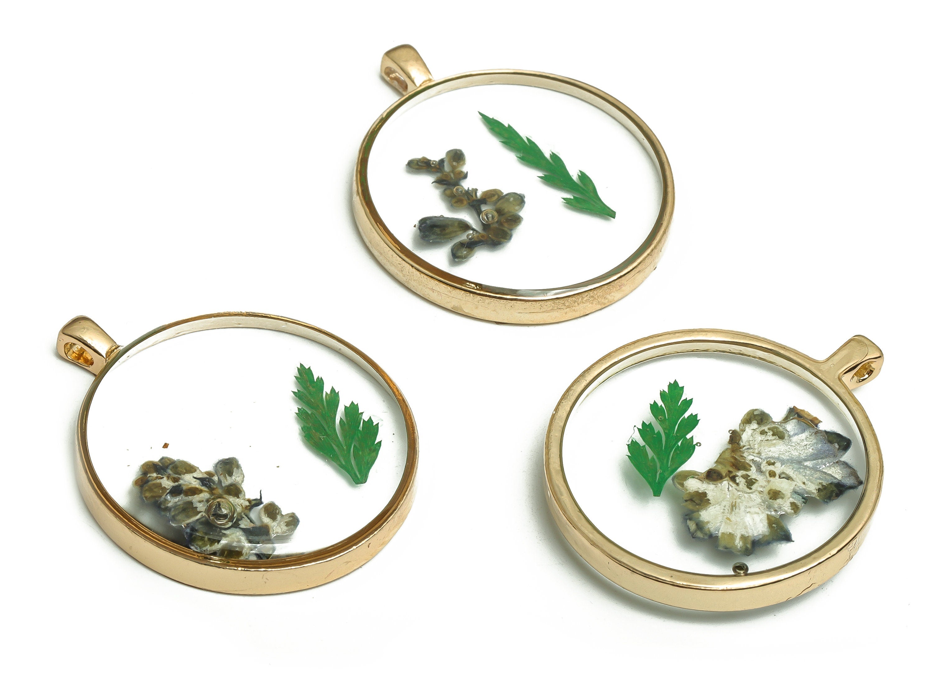 Resin Round Earring Charm - Real Dried Flower Jewelry - Resin Sage Grass Pendant Charm - Gold Tone Plated Alloy -35.58x28.73x5.24mm - ZZ1943 - DOMEDBAZAAR
